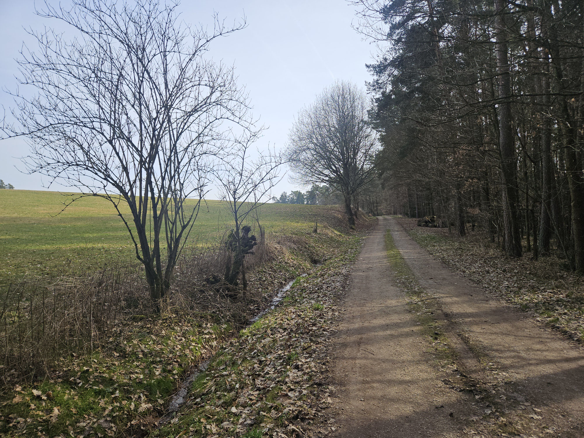 Wolframs-Eschenbach - Langlau