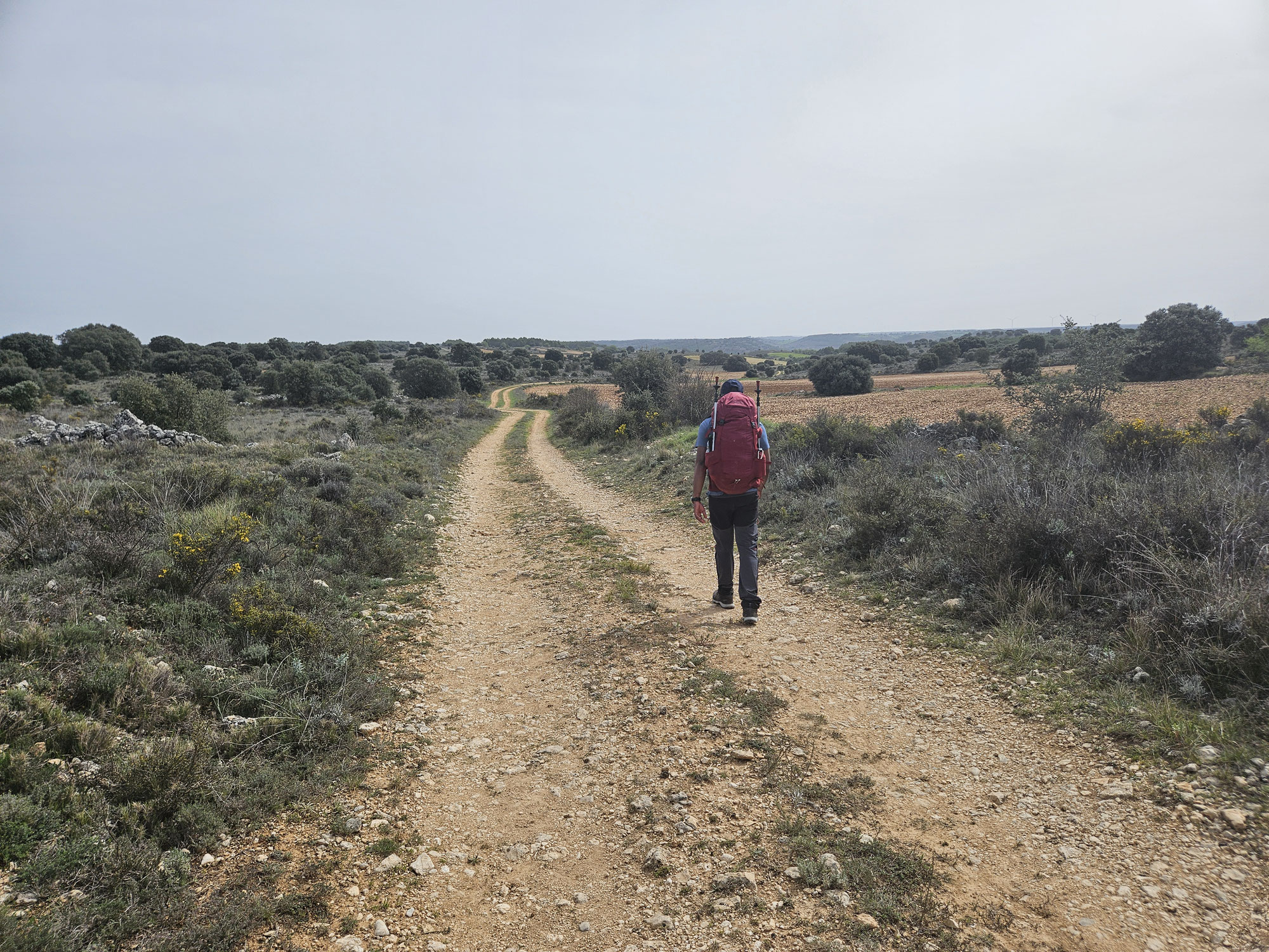 Carrascosa del Campo - Caracenilla