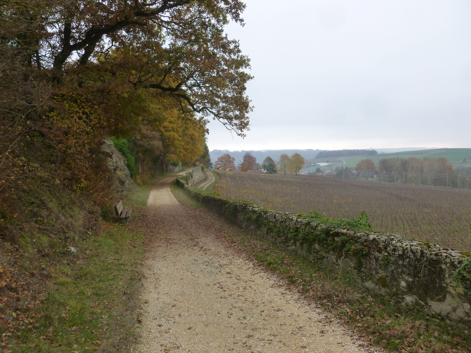 Kiesbaggerei in der Kornkammer