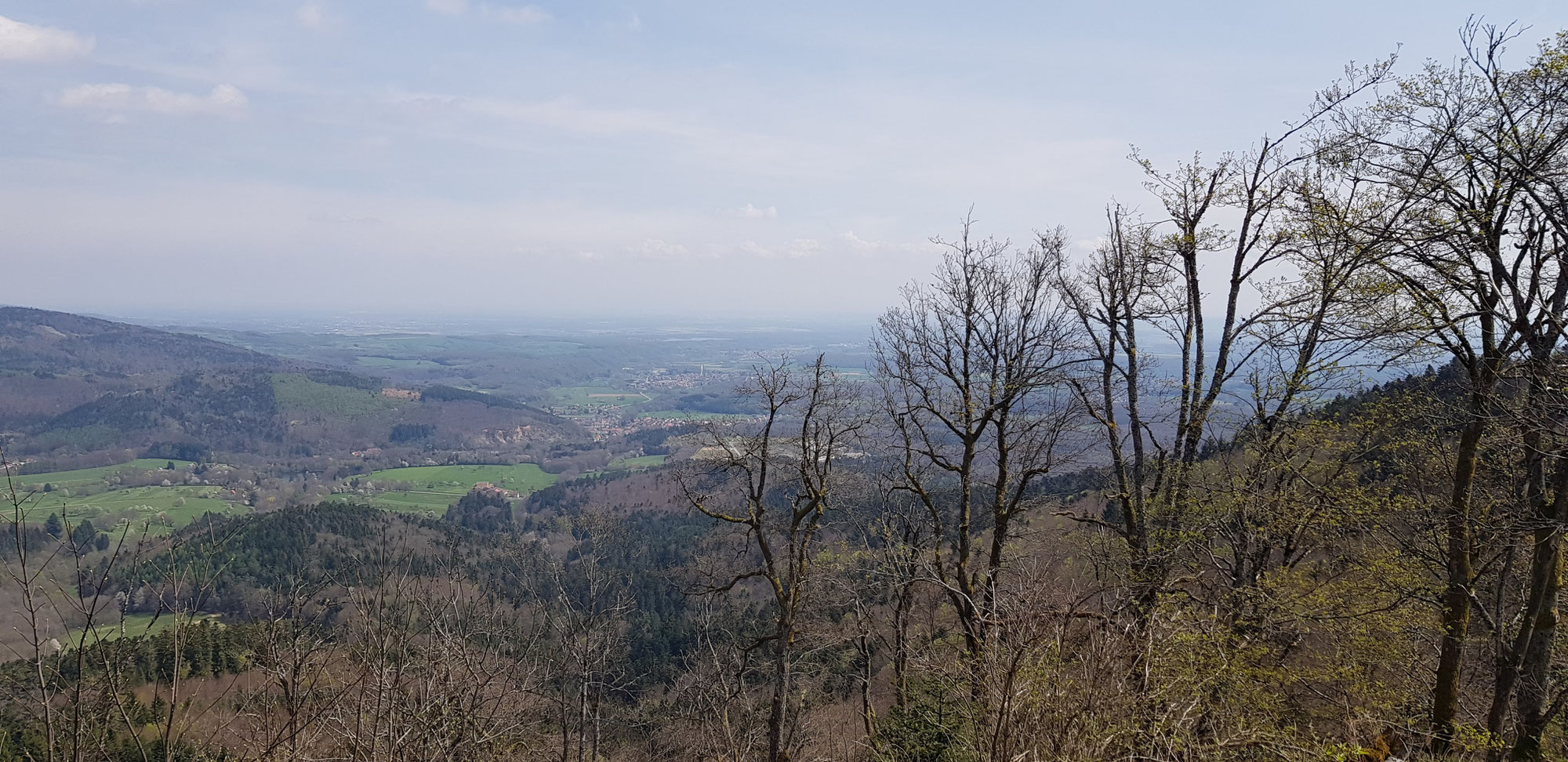 Die Pförtner sind ausgeflogen