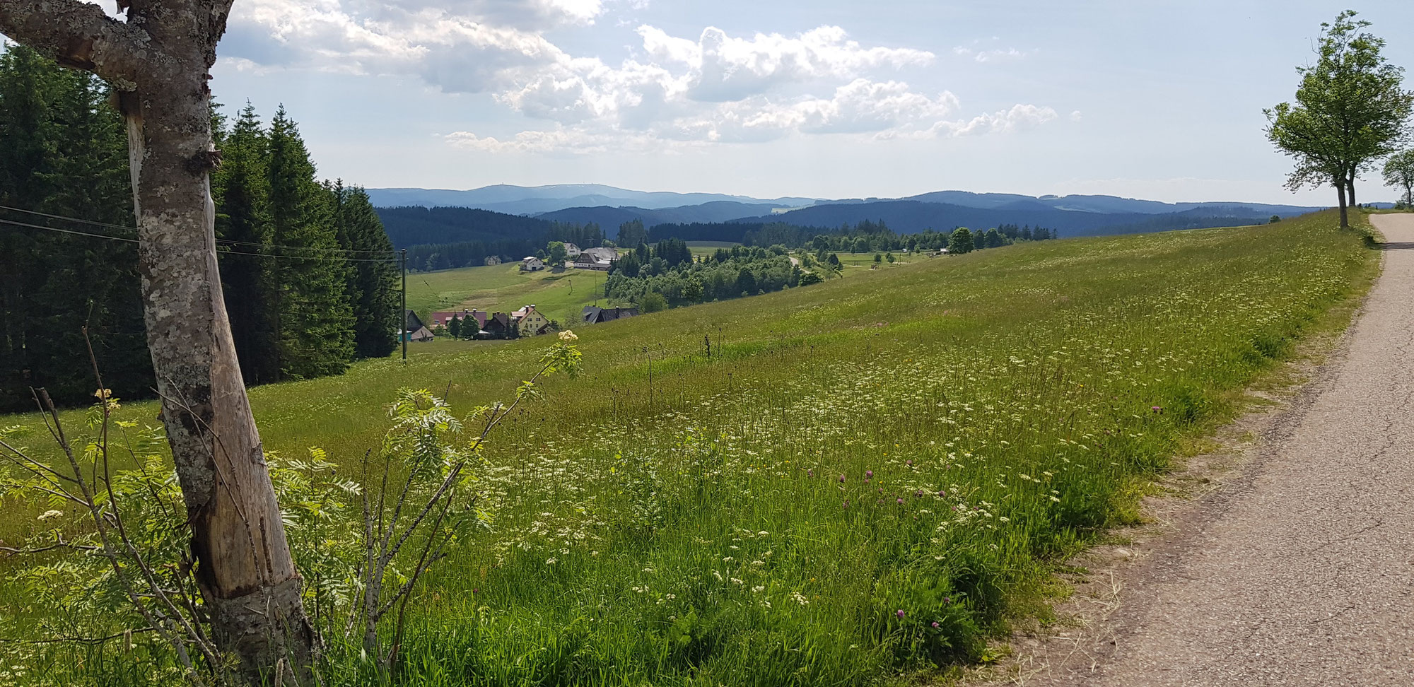 Lange Zustiegsrampe zum Hochschwarzwald