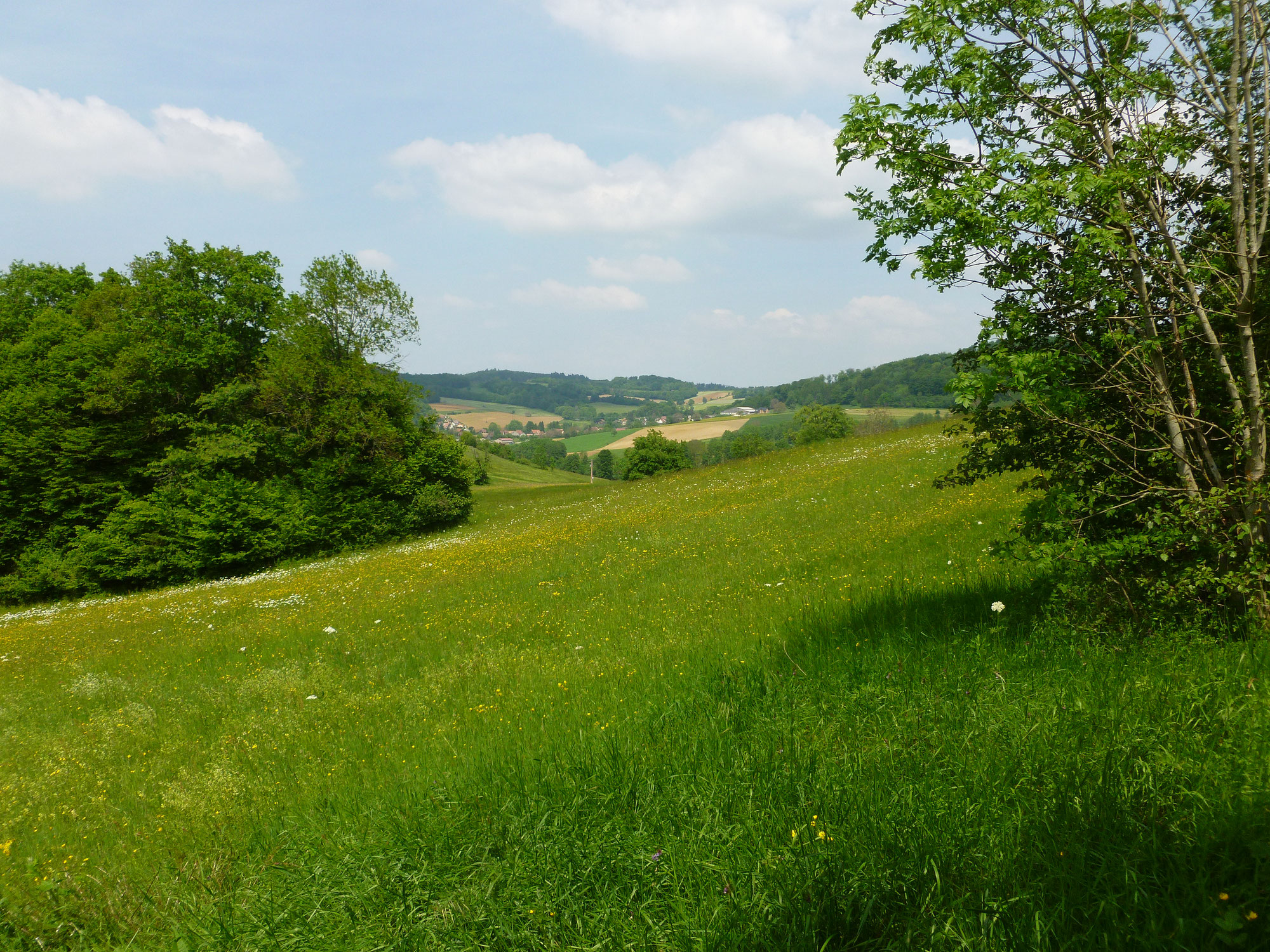 Auf Abwegen im Elsässer Jura