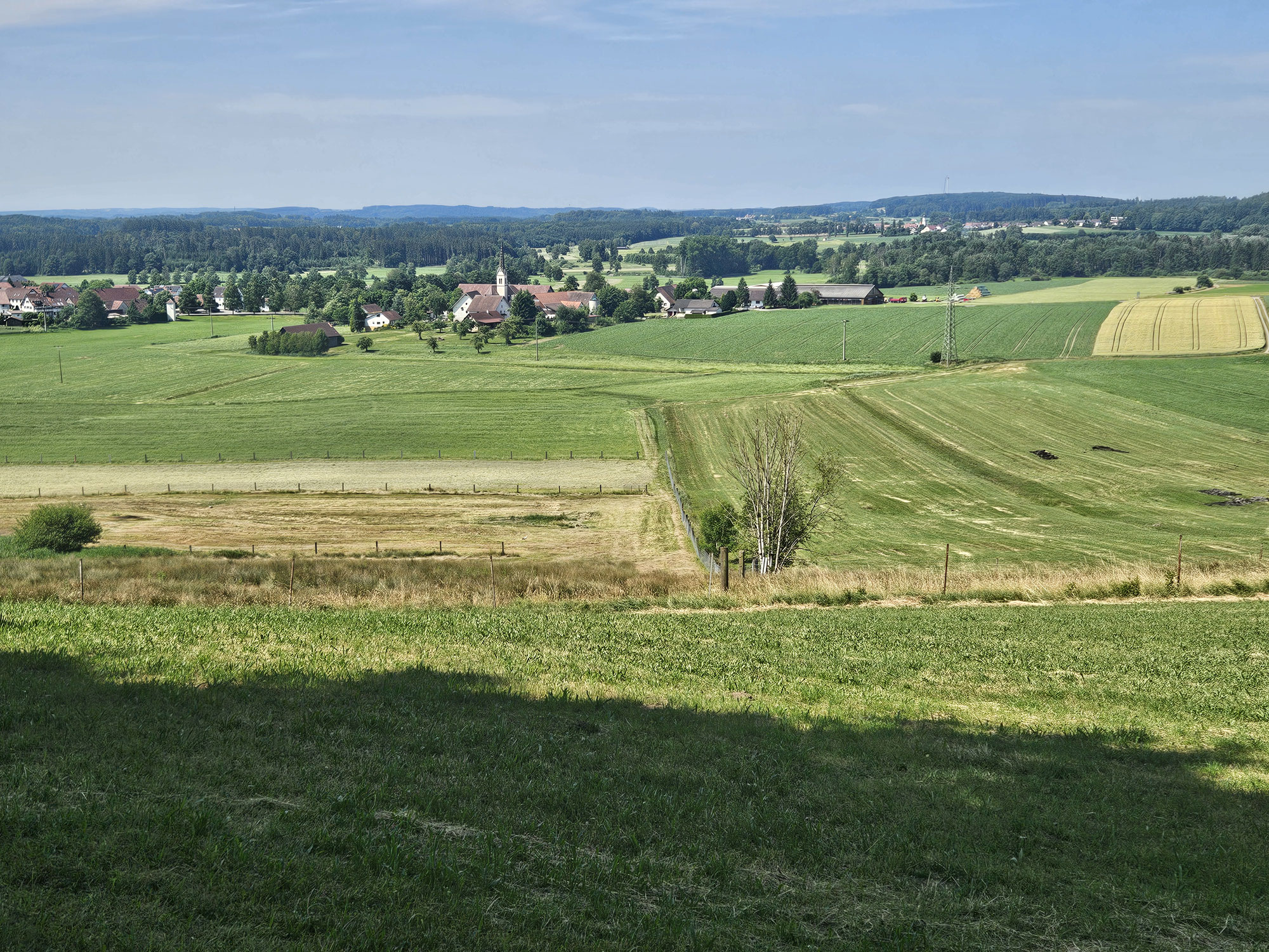 Bad Schussenried - Schwarzenbach (Boms)