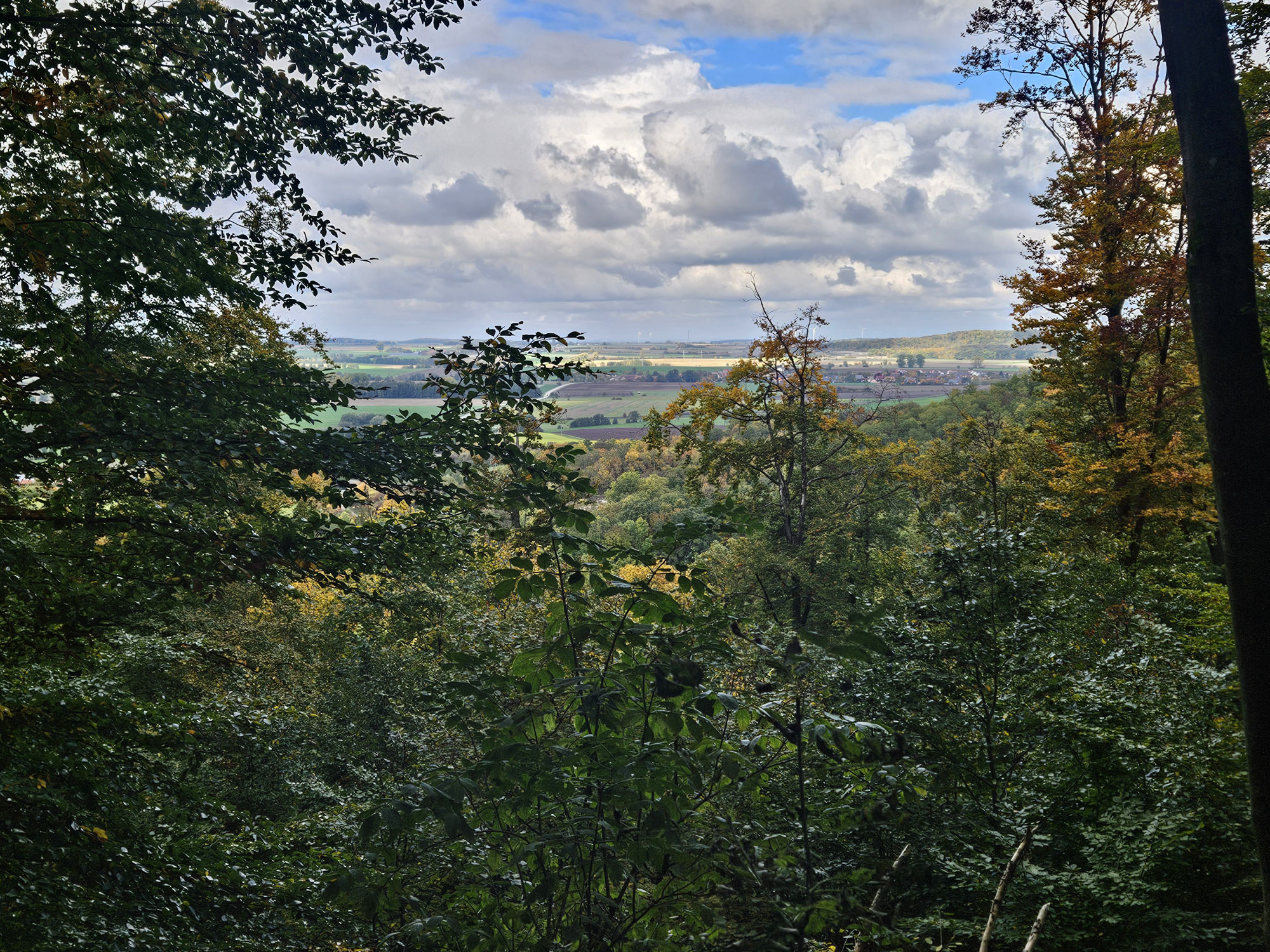 Neusitz/Wachsenberg - Wildbad