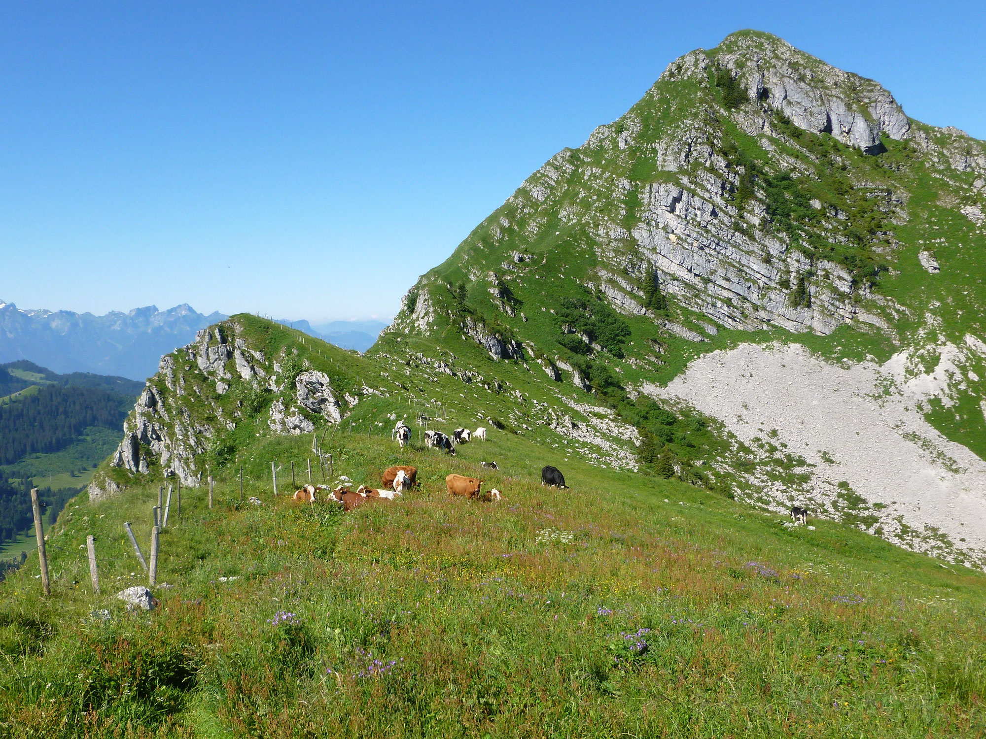 Feldherrenhügel für Wasserscheidenforscher