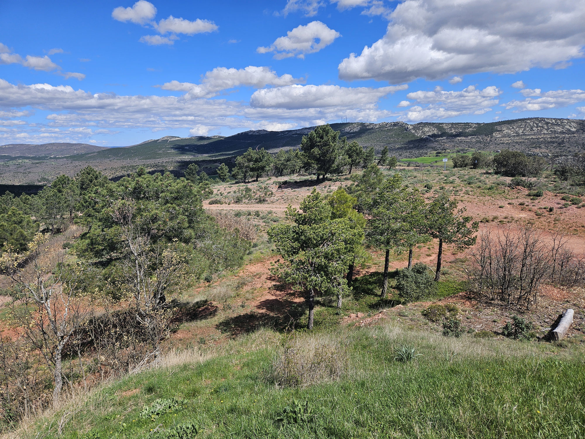 Molina de Aragón - Aragoncillo