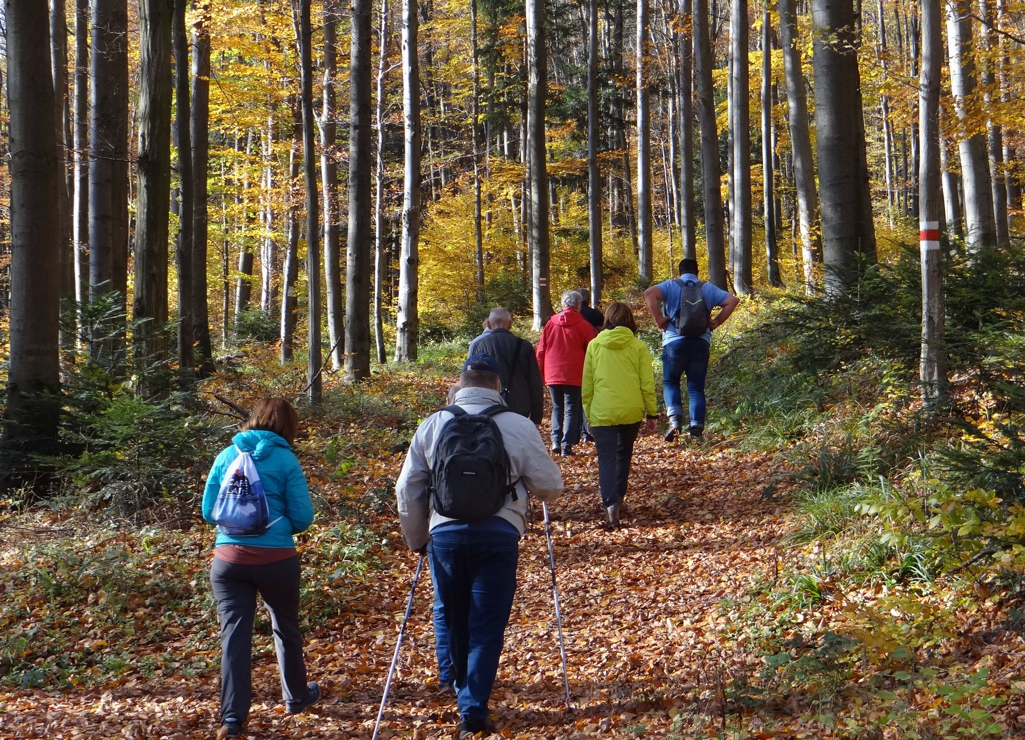 Herbstwanderung des Freundeskreises