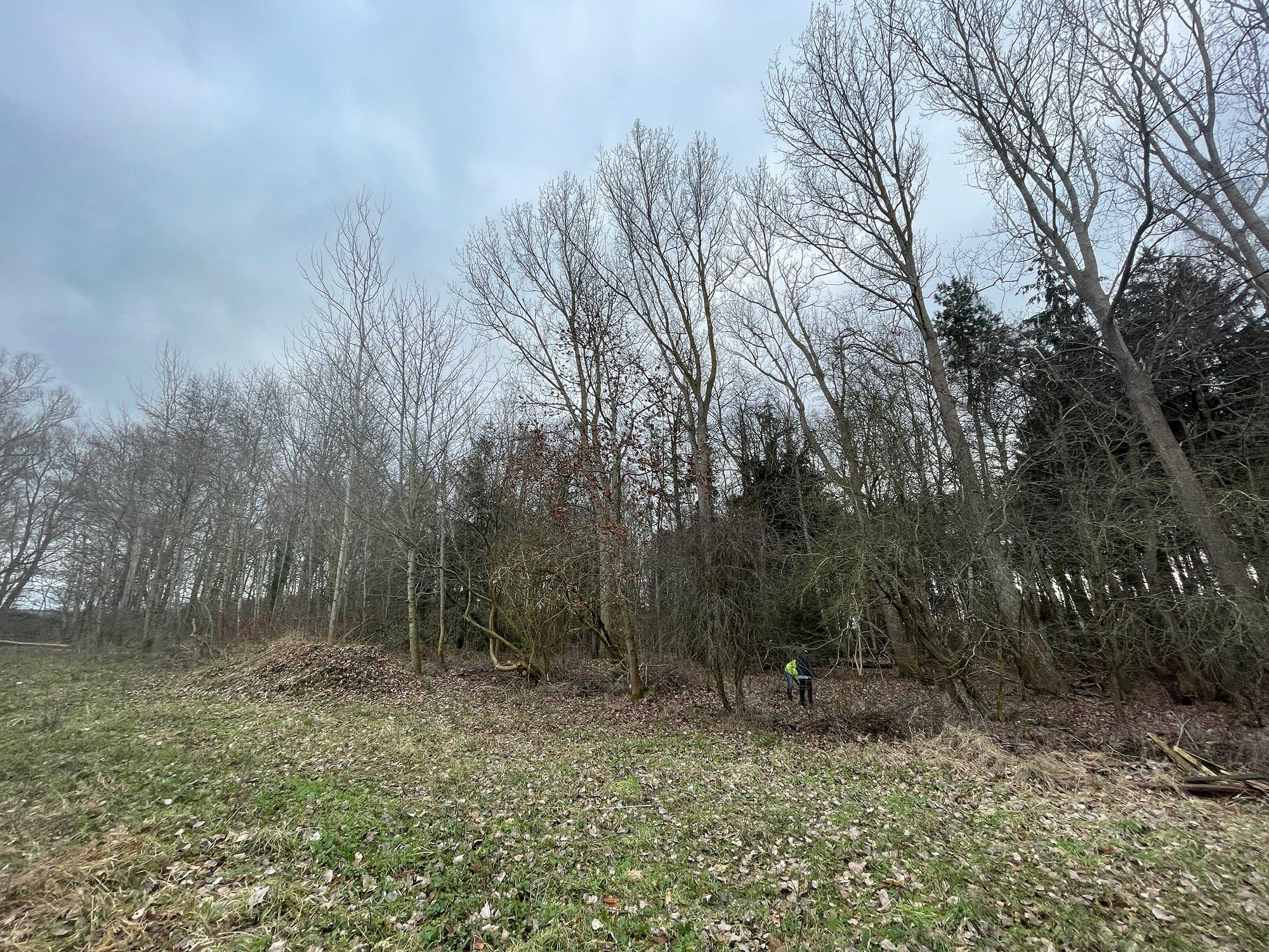 Fünf Motorsägen und jede Menge Teamgeist: Platz für den Holzbau auf Rügen