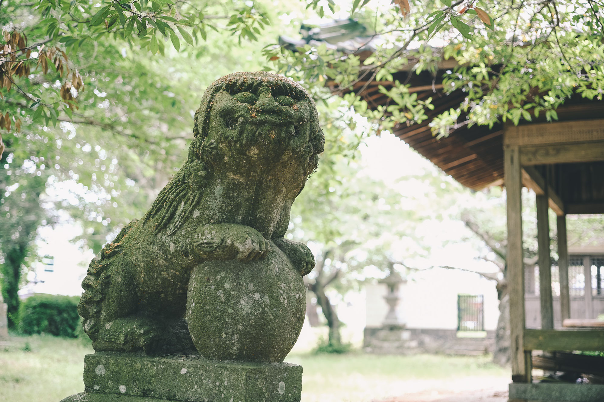 【大分県宇佐市】古墳の上に鎮座する乙咩神社の謎：消された「乙比咩」と神々の系譜