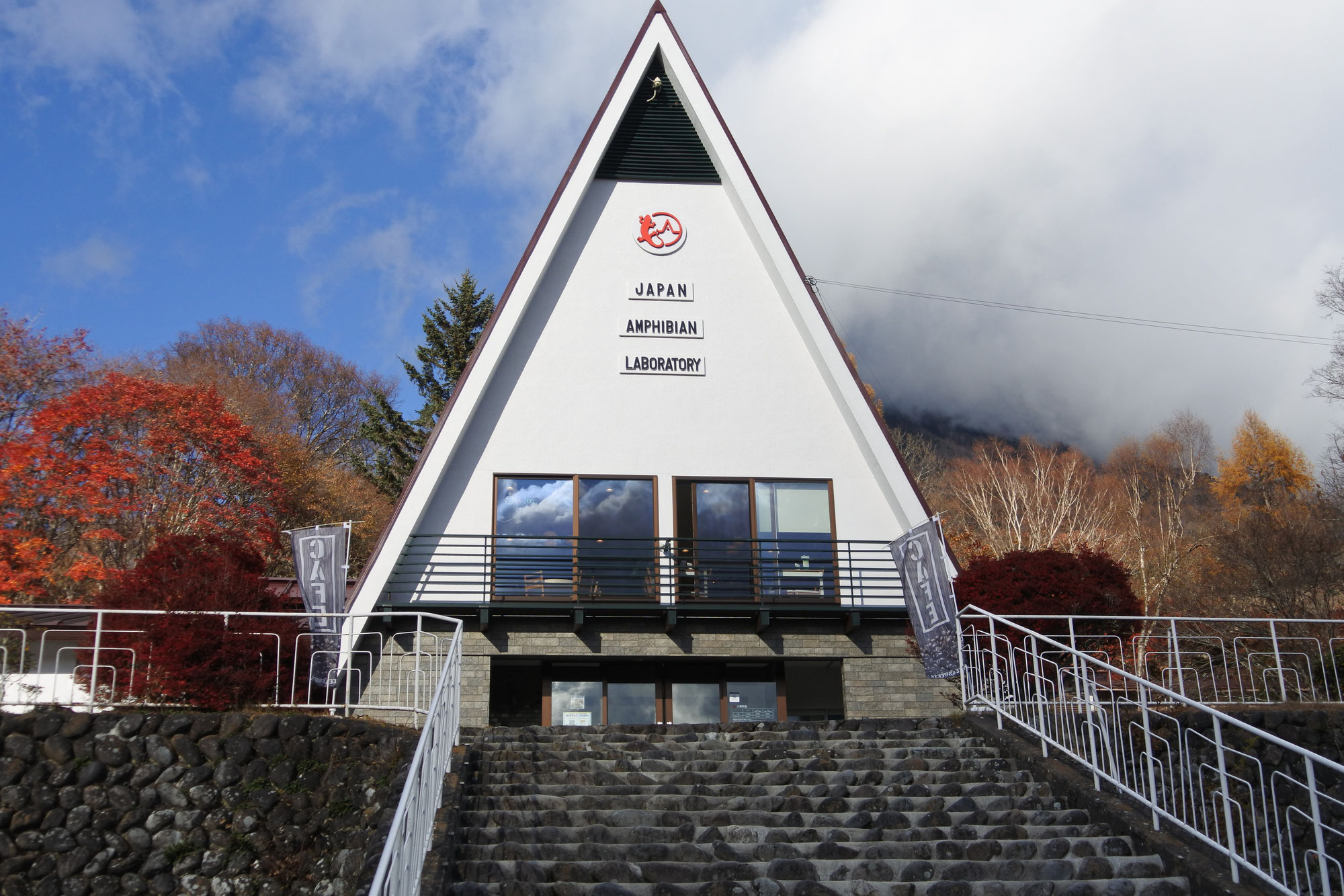日本両棲類研究所・日光