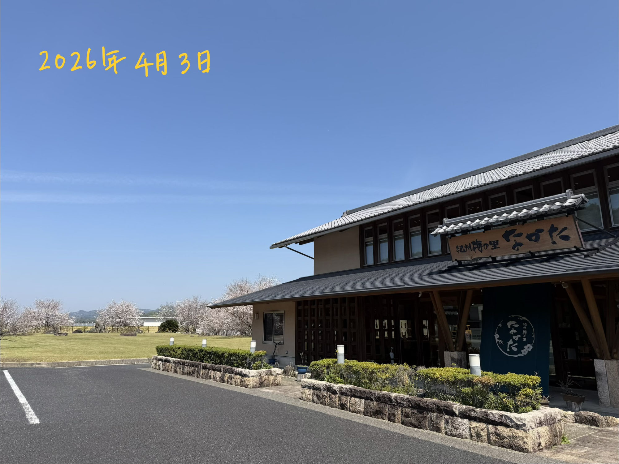 （田辺市情報）田辺市の桜の名所の一つ