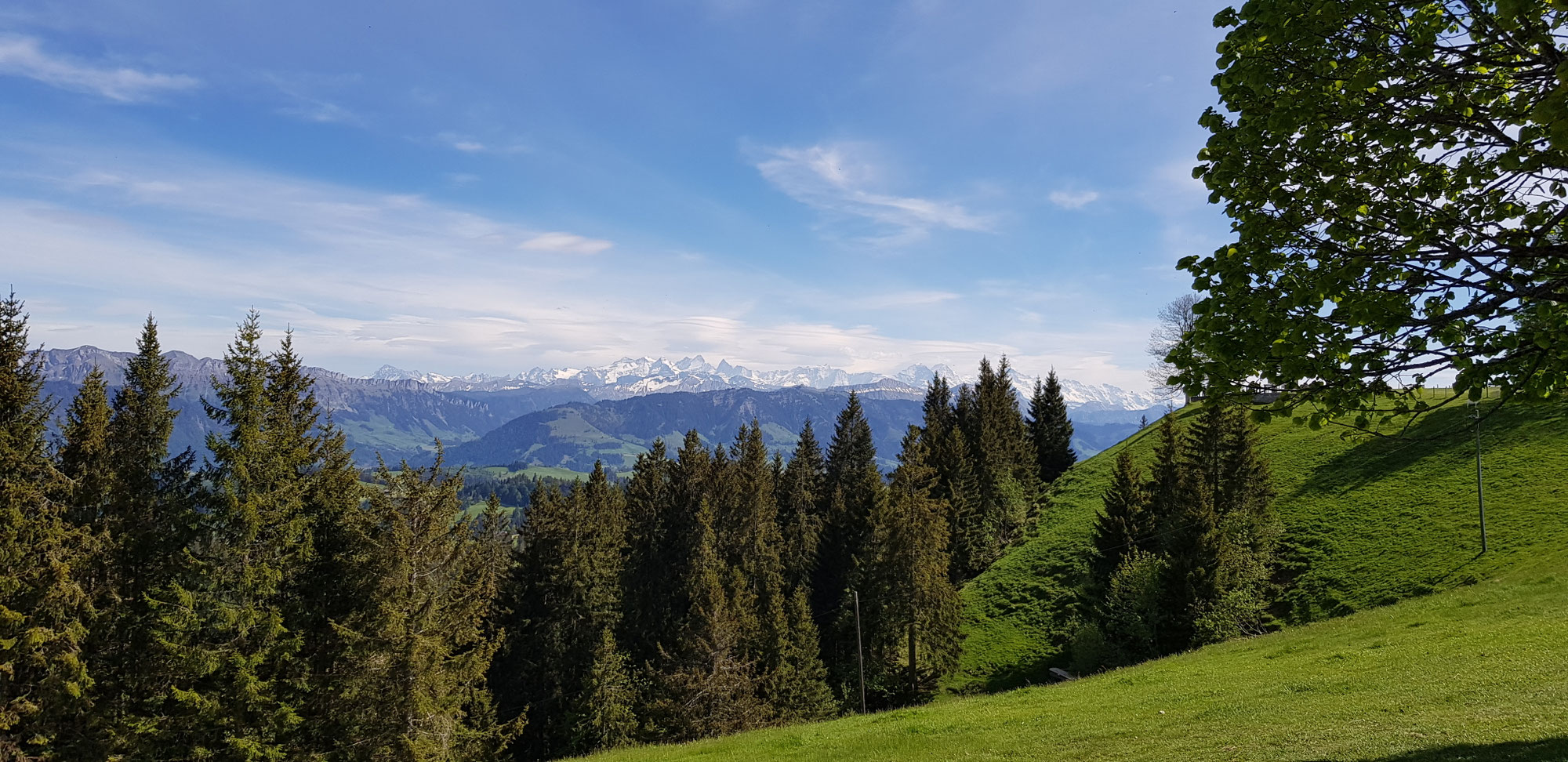 WanderBar? Wunderbar! Regelmässig donnerstags