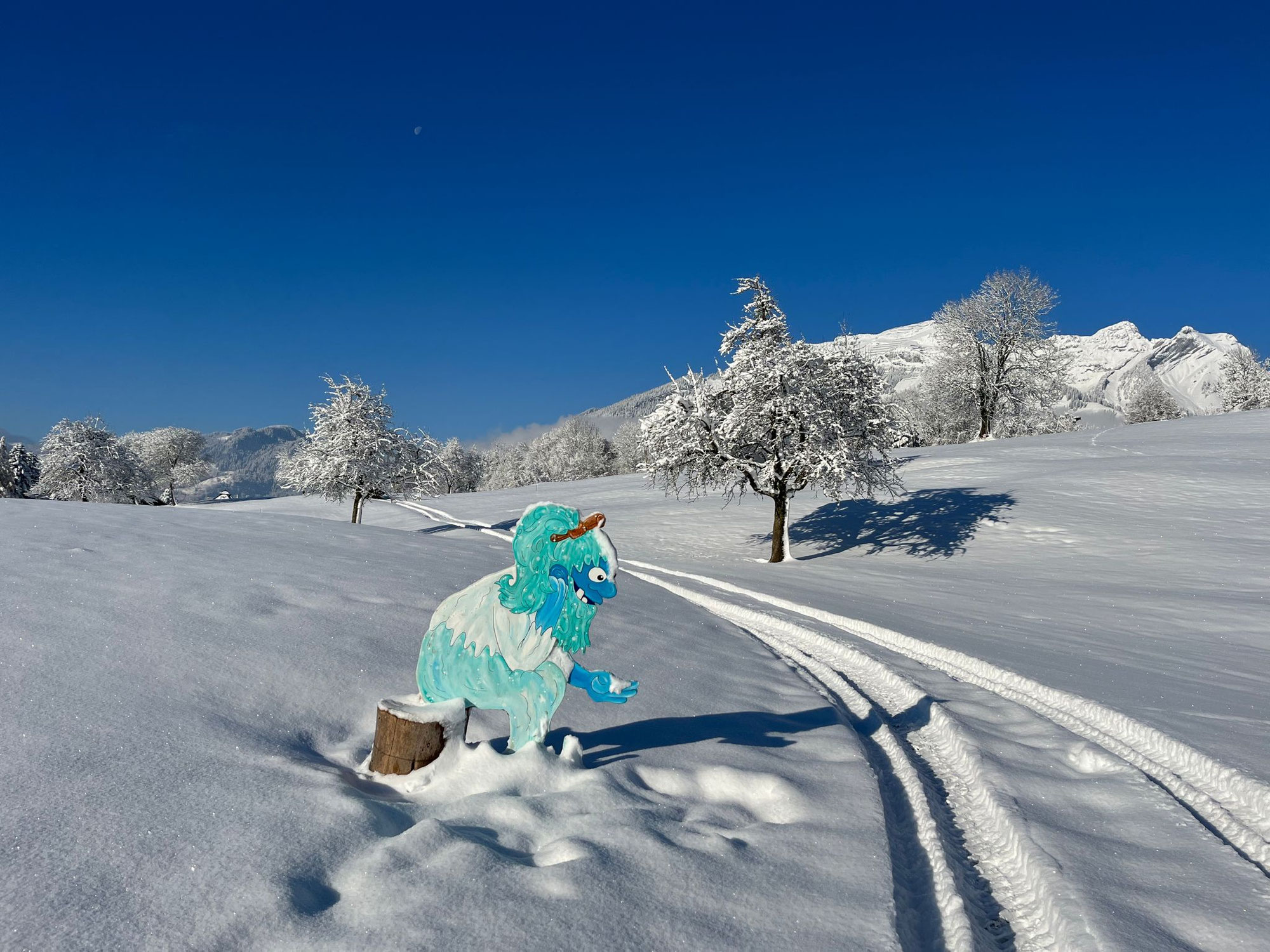 Wintererlebnispfad