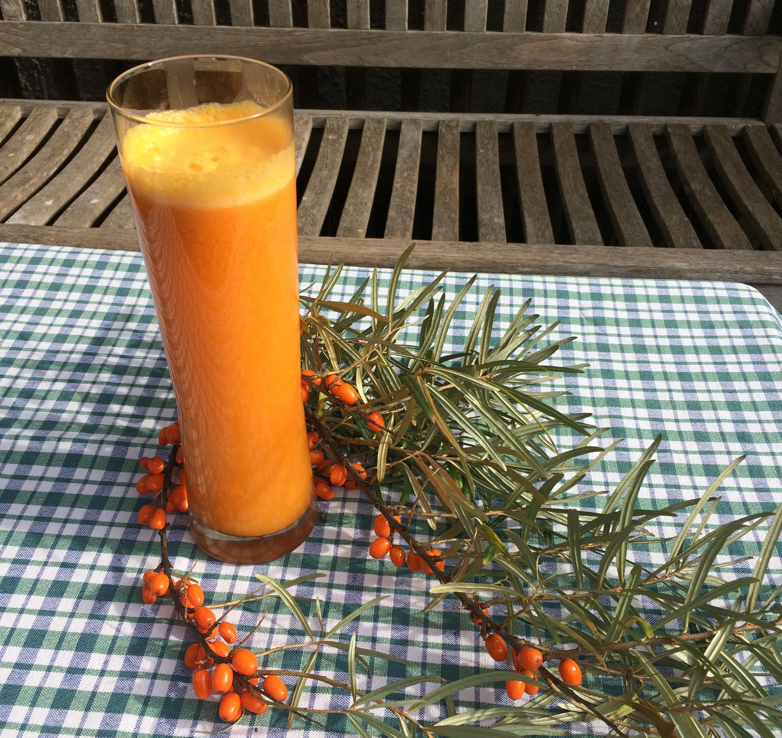 Vitamin C des Nordens