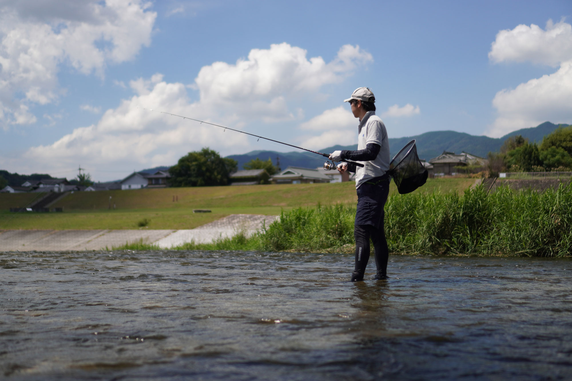 鮎の釣獲調査について