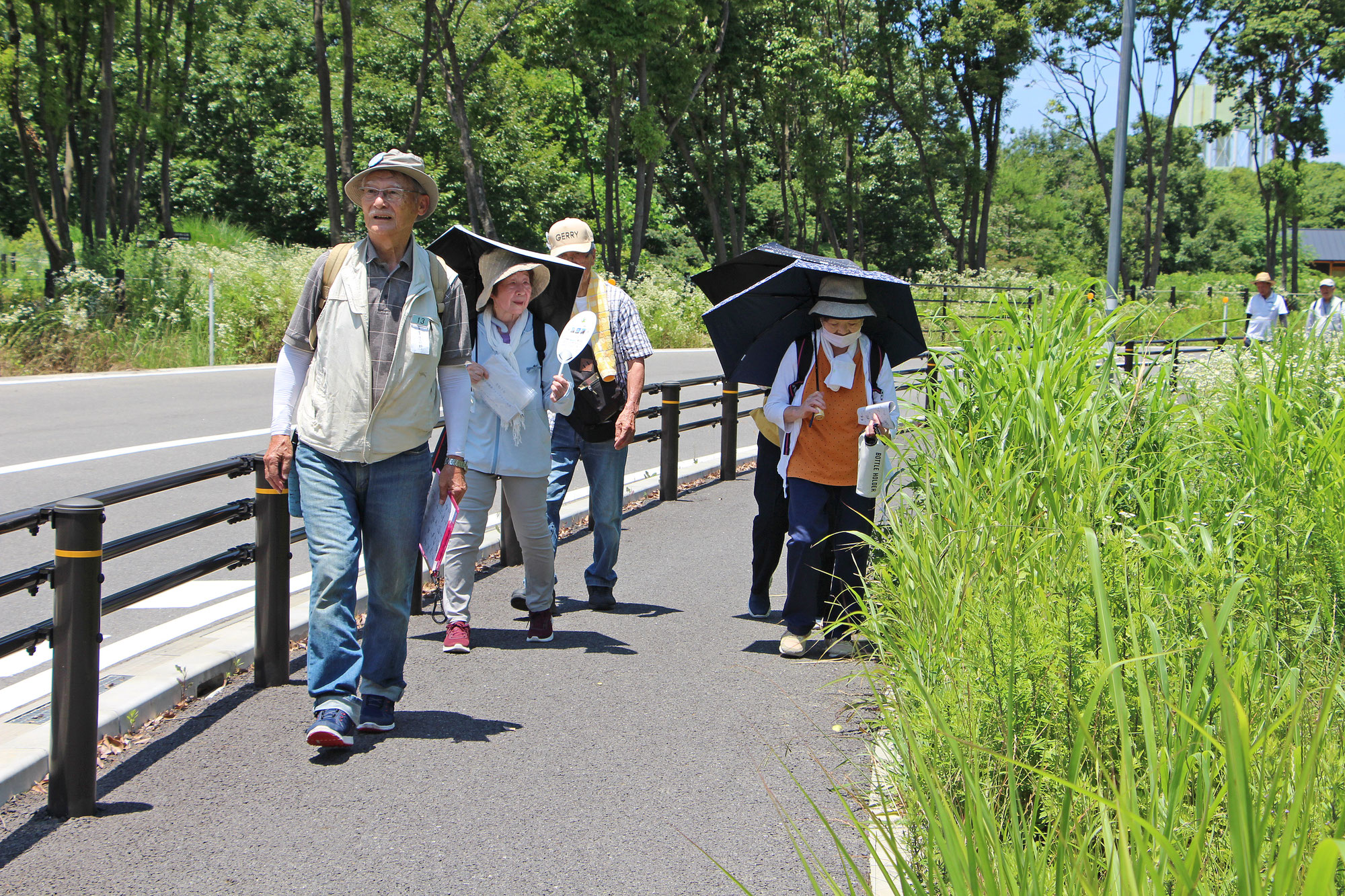 令和７年度和泉市健康ウォークラリー大会