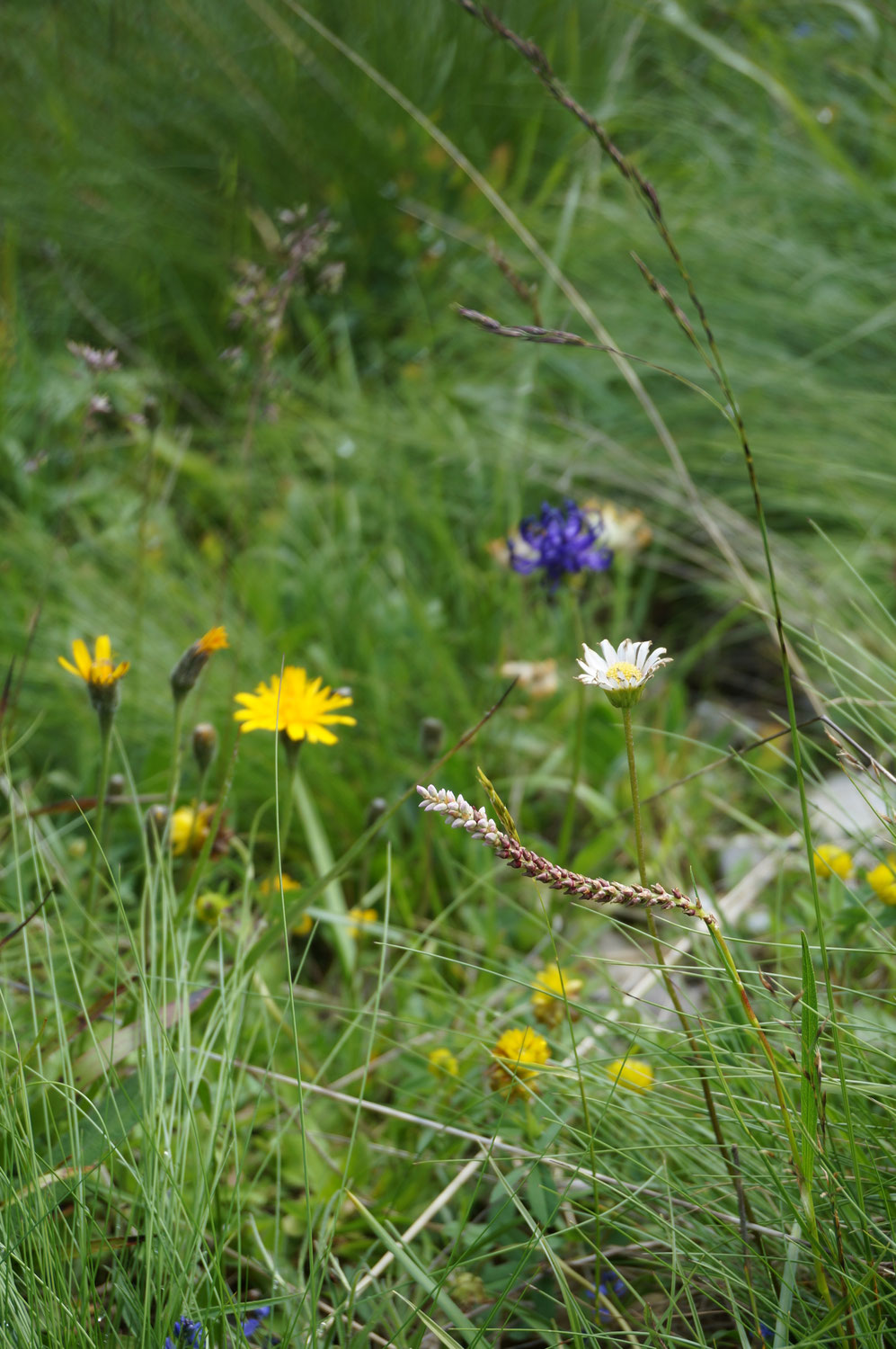 Herbst/Winter apartmenthubertpraxmarers seite!