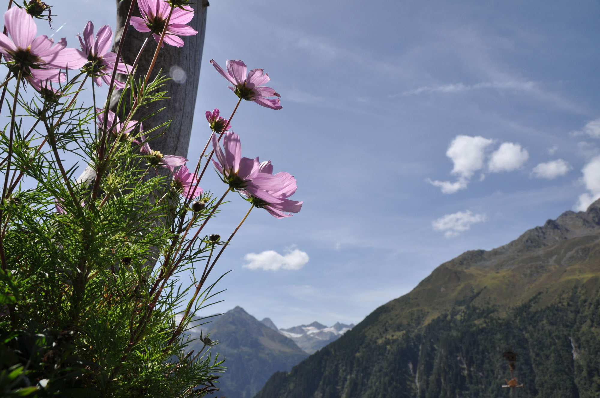 Preise checken & buchen apartmenthubertpraxmarers seite!