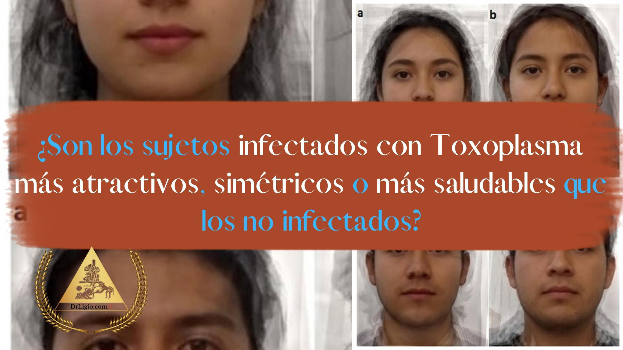 ¿Son los sujetos infectados con Toxoplasma más atractivos, simétricos o más saludables que los no infectados?
