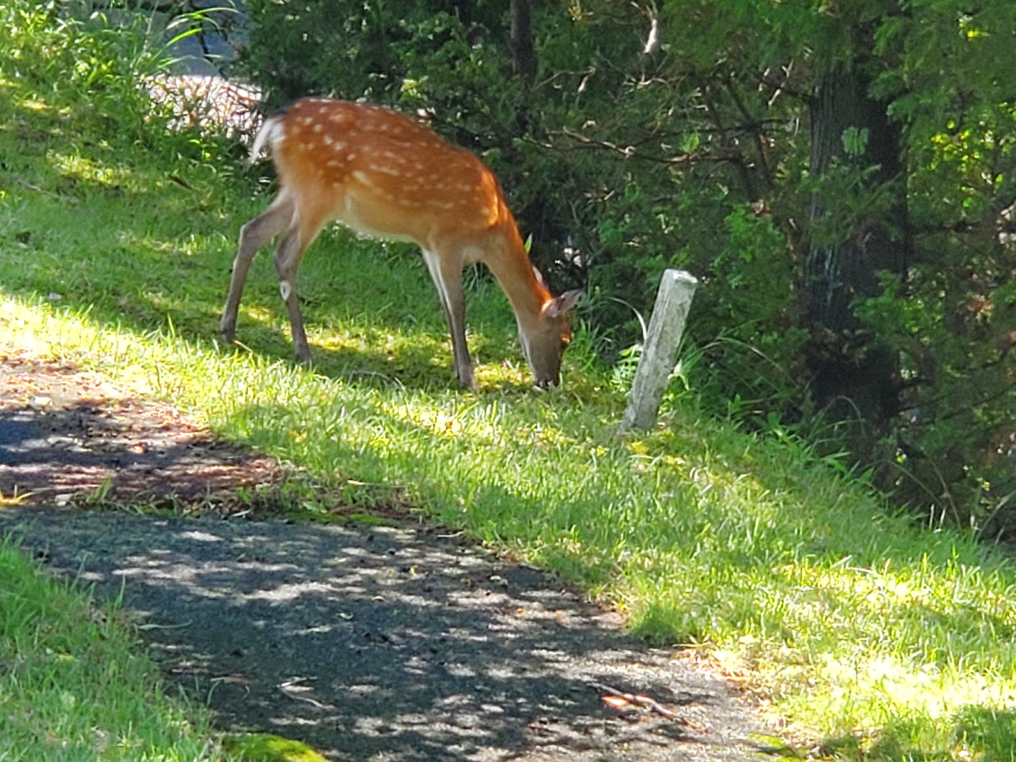 夏にネクタイ