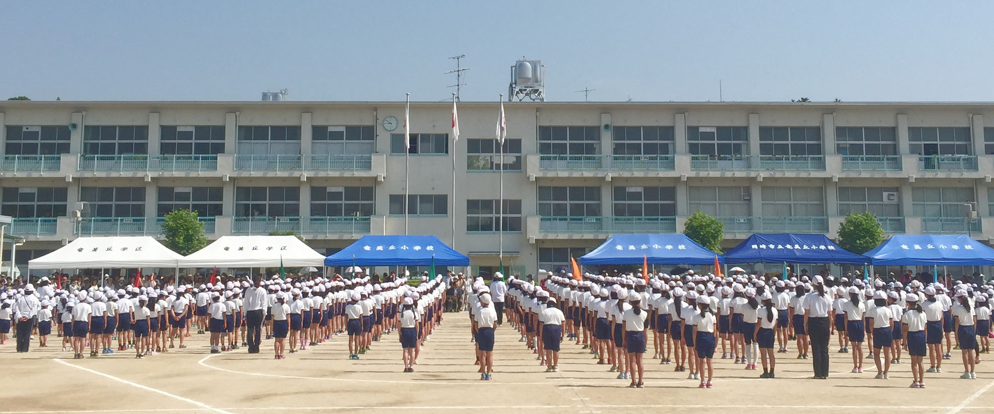 竜美丘小ptaの活動 岡崎市立竜美丘小学校ptaの活動記録