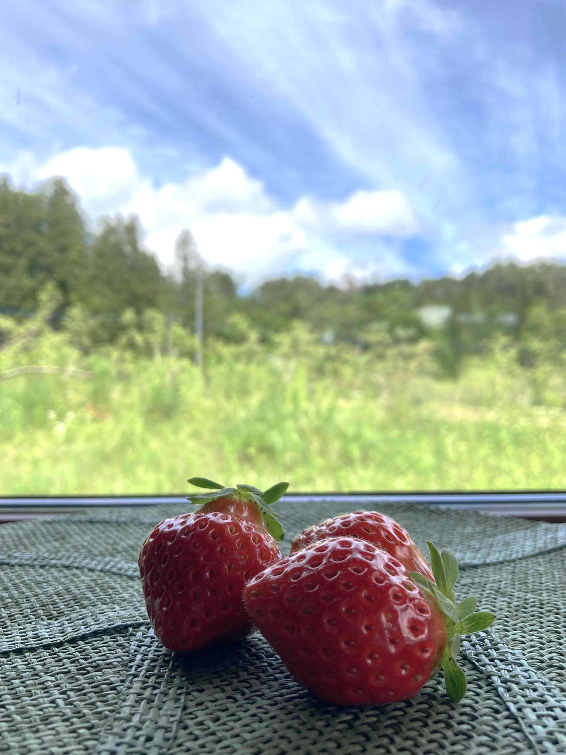 夏秋(かしゅう）いちご
