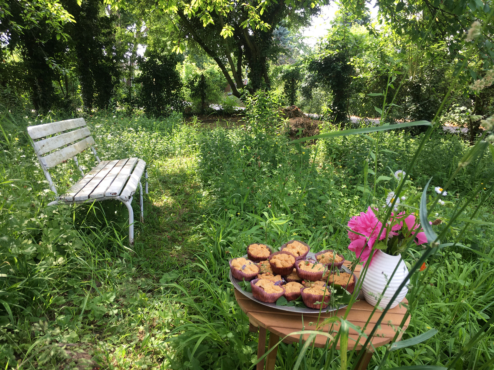 Auf einen Sprung in den Augustenbühl