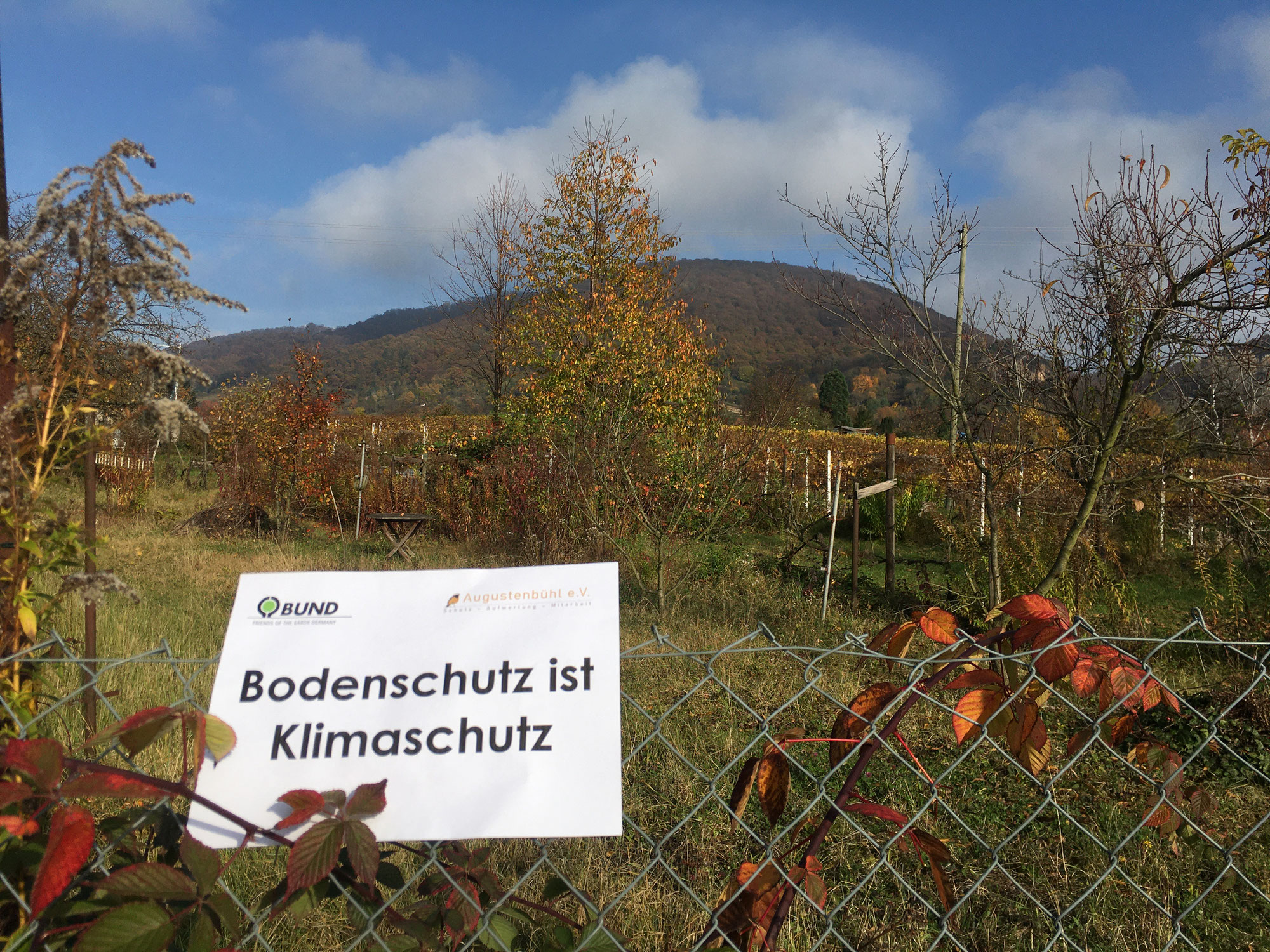 Fotoaktion zum Tag des Bodens