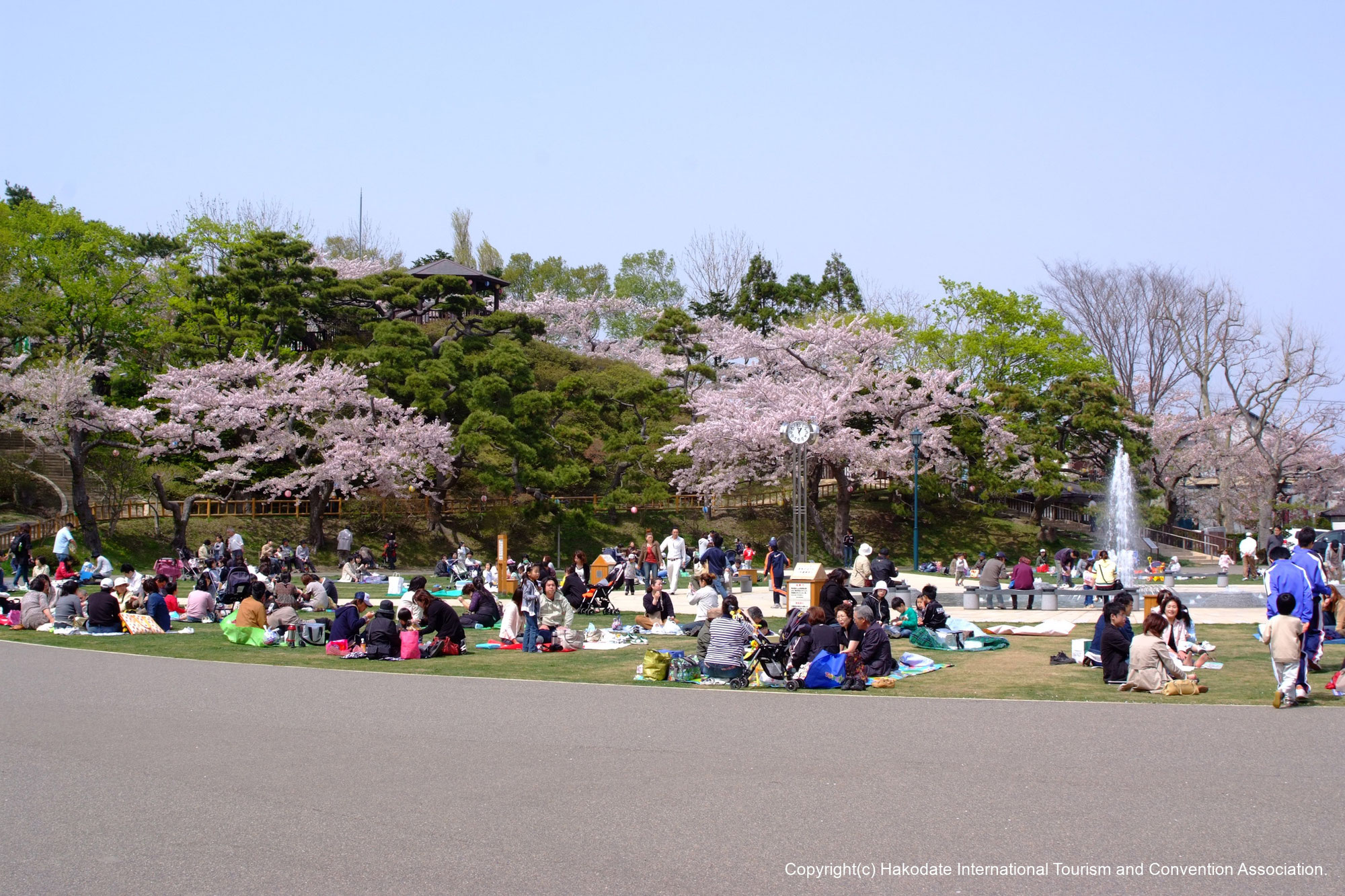 函館の桜、二大名所