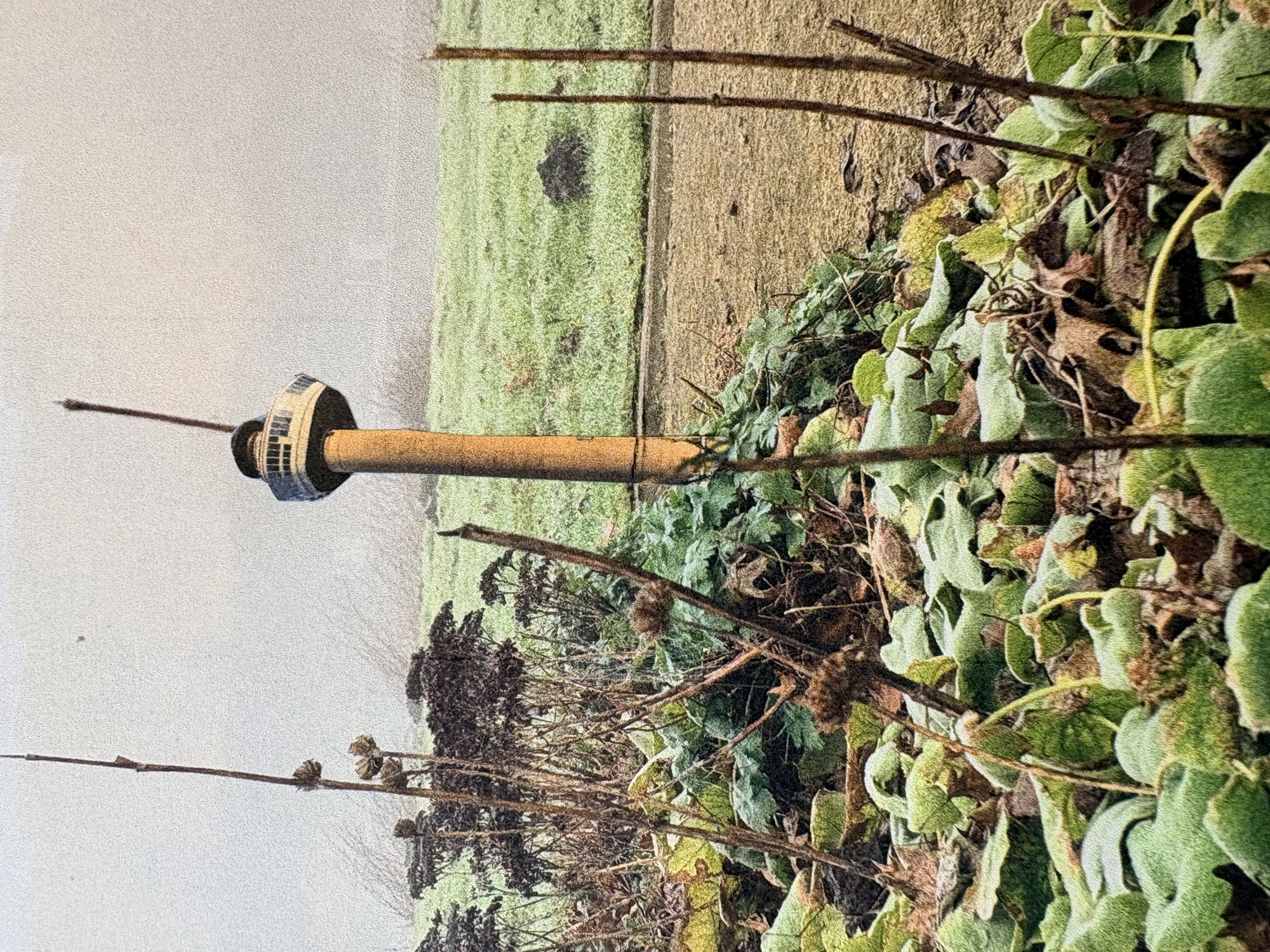 De Phlomis‑Euromast