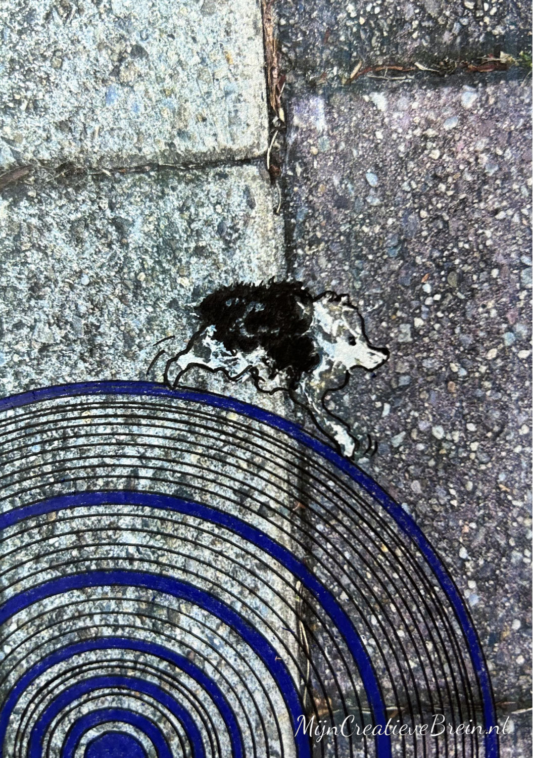 Vogelpoep