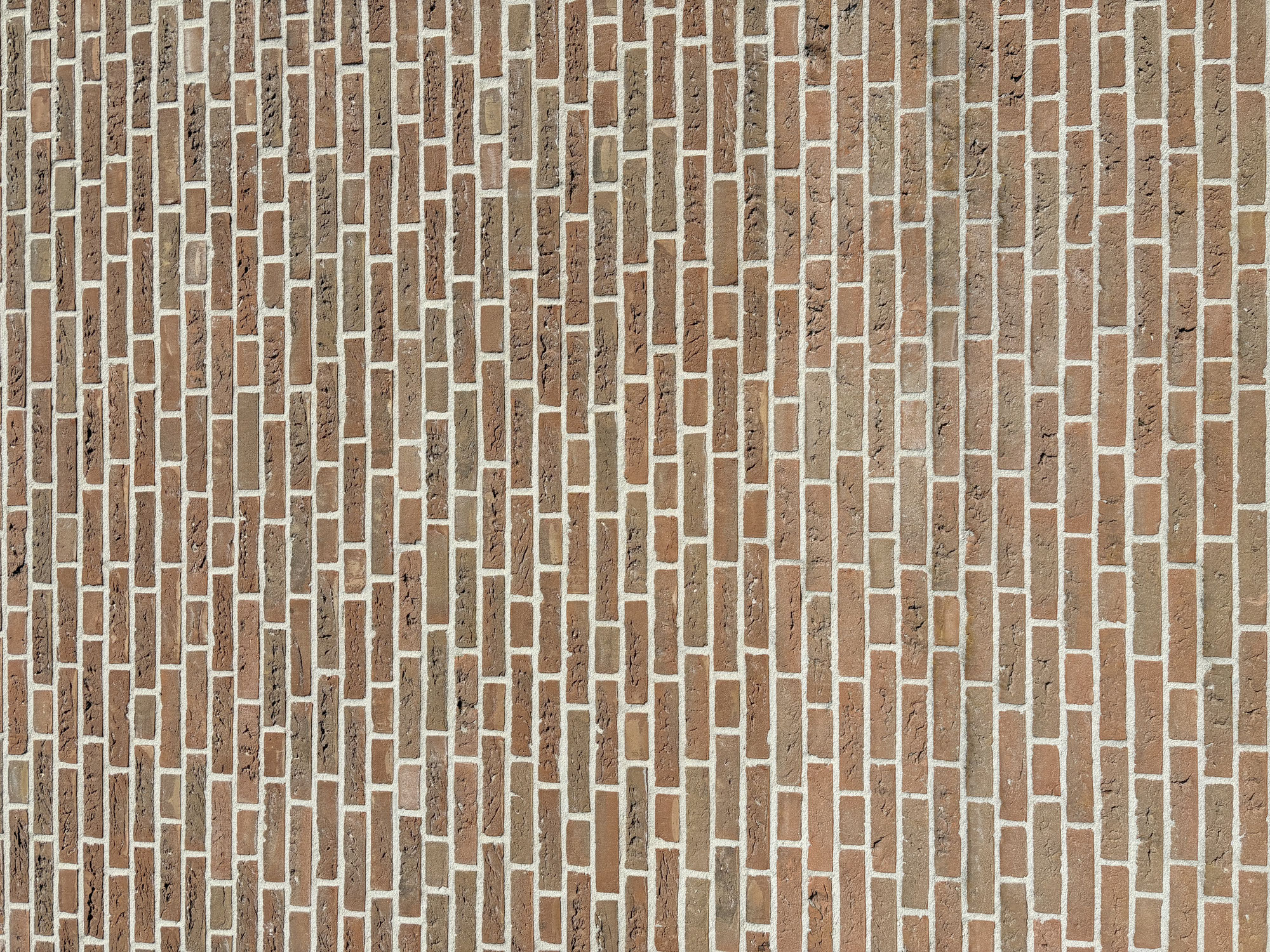 Schoonheid