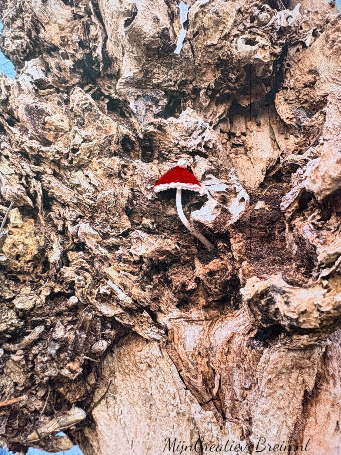 Kerstboodschap uit de natuur: je hoeft niet alles alleen te dragen