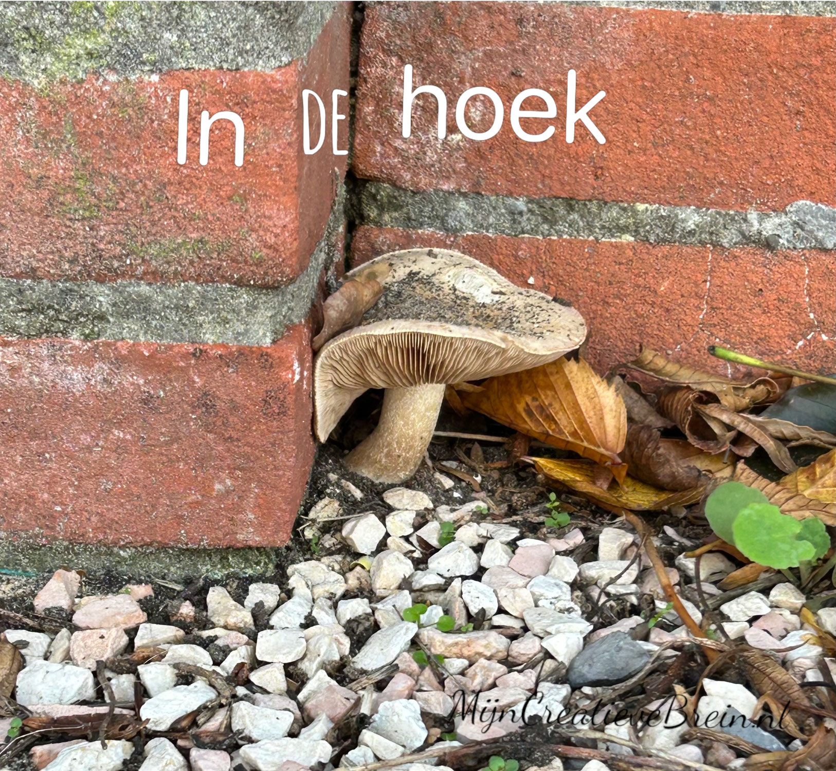 Herfst