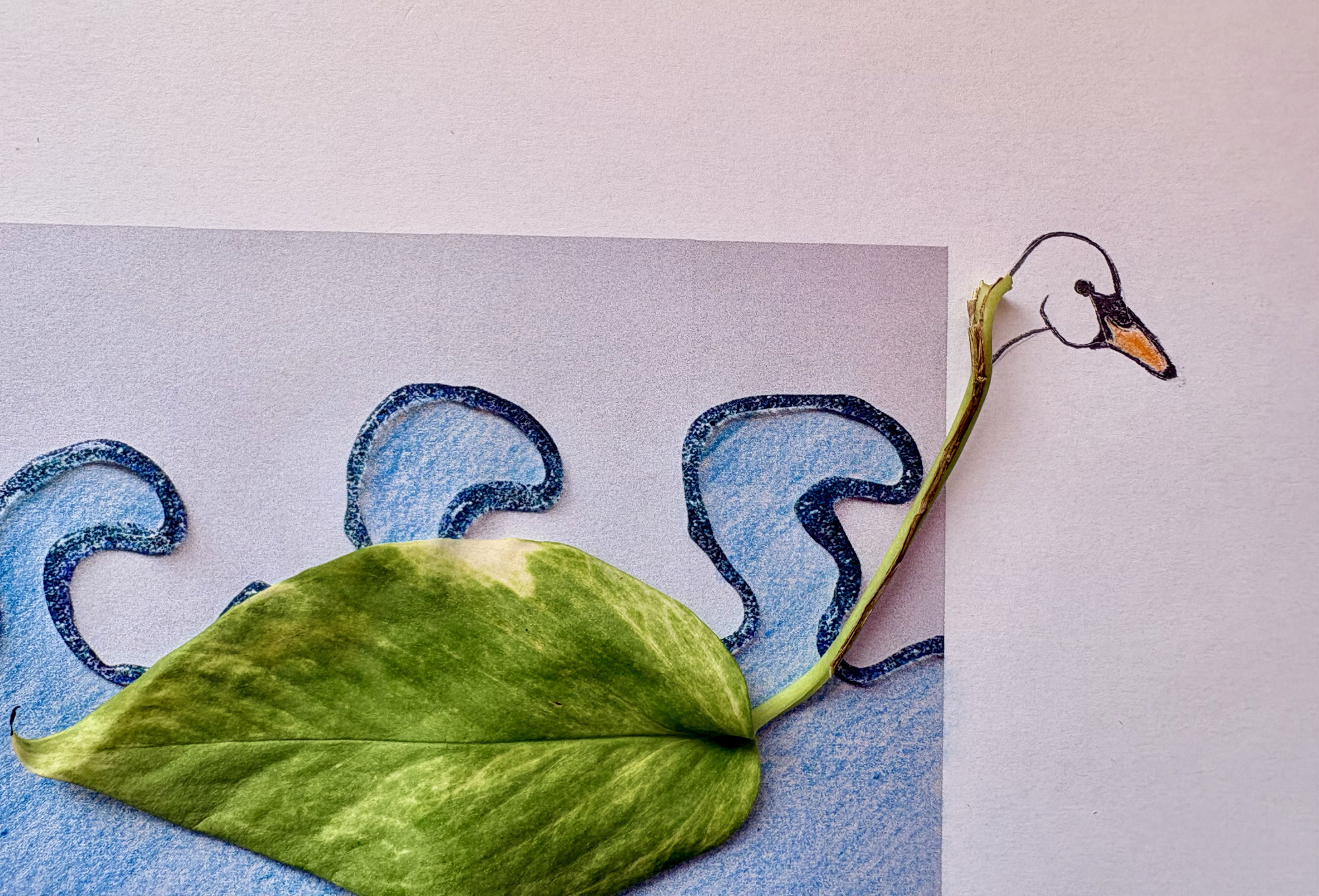 Golven van creativiteit
