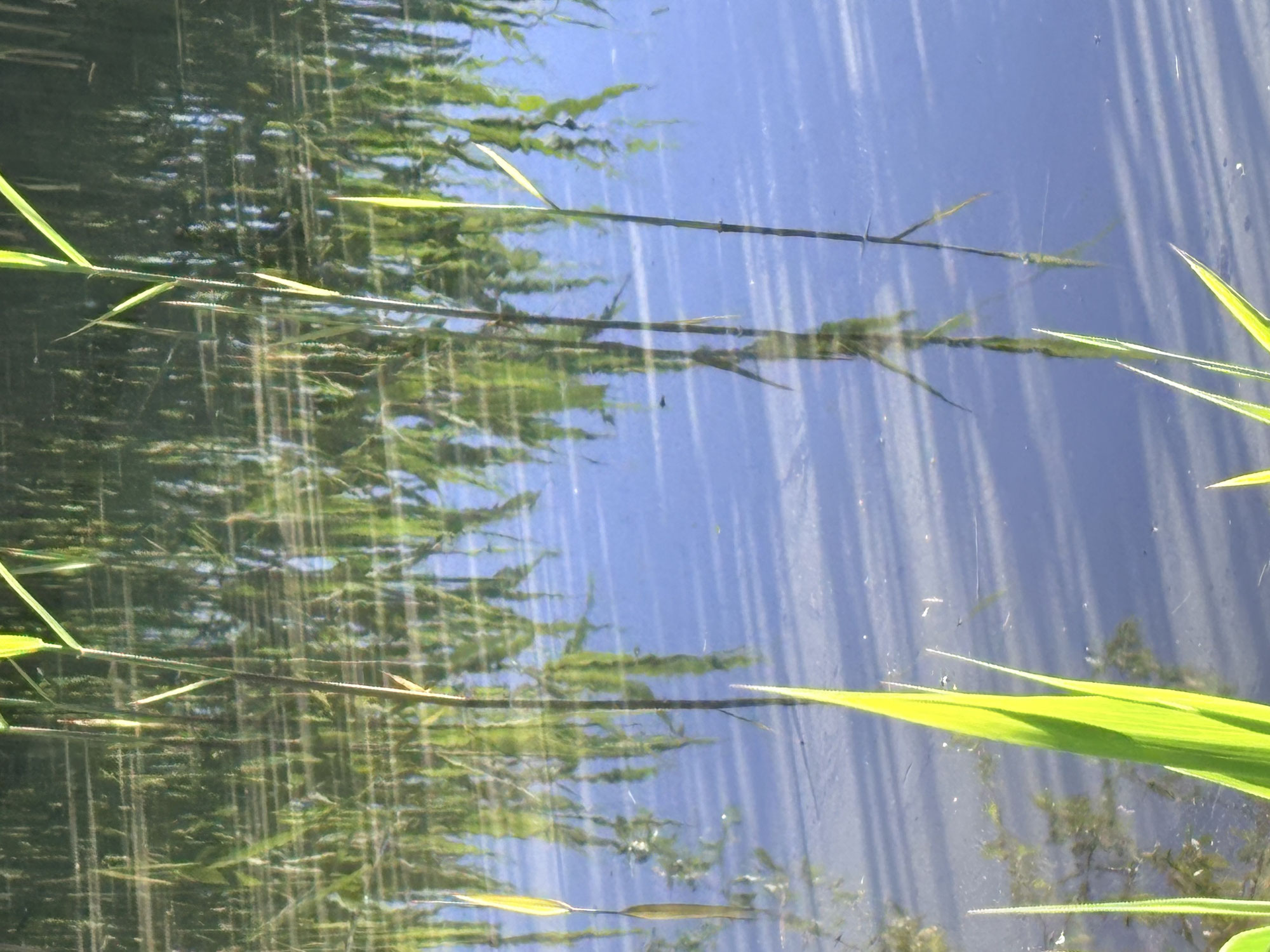 Lichtstrepen op het water