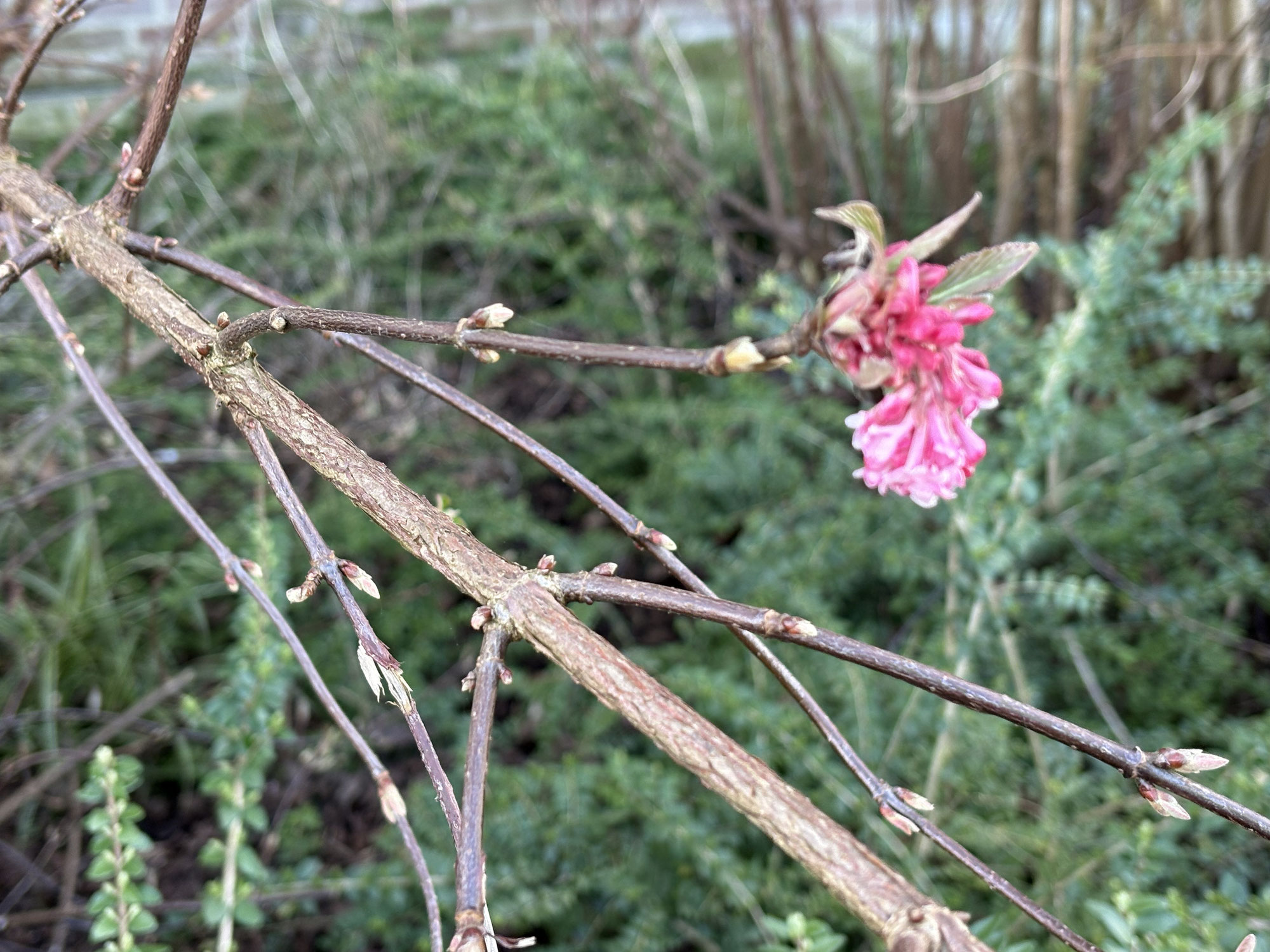 Lentewissel