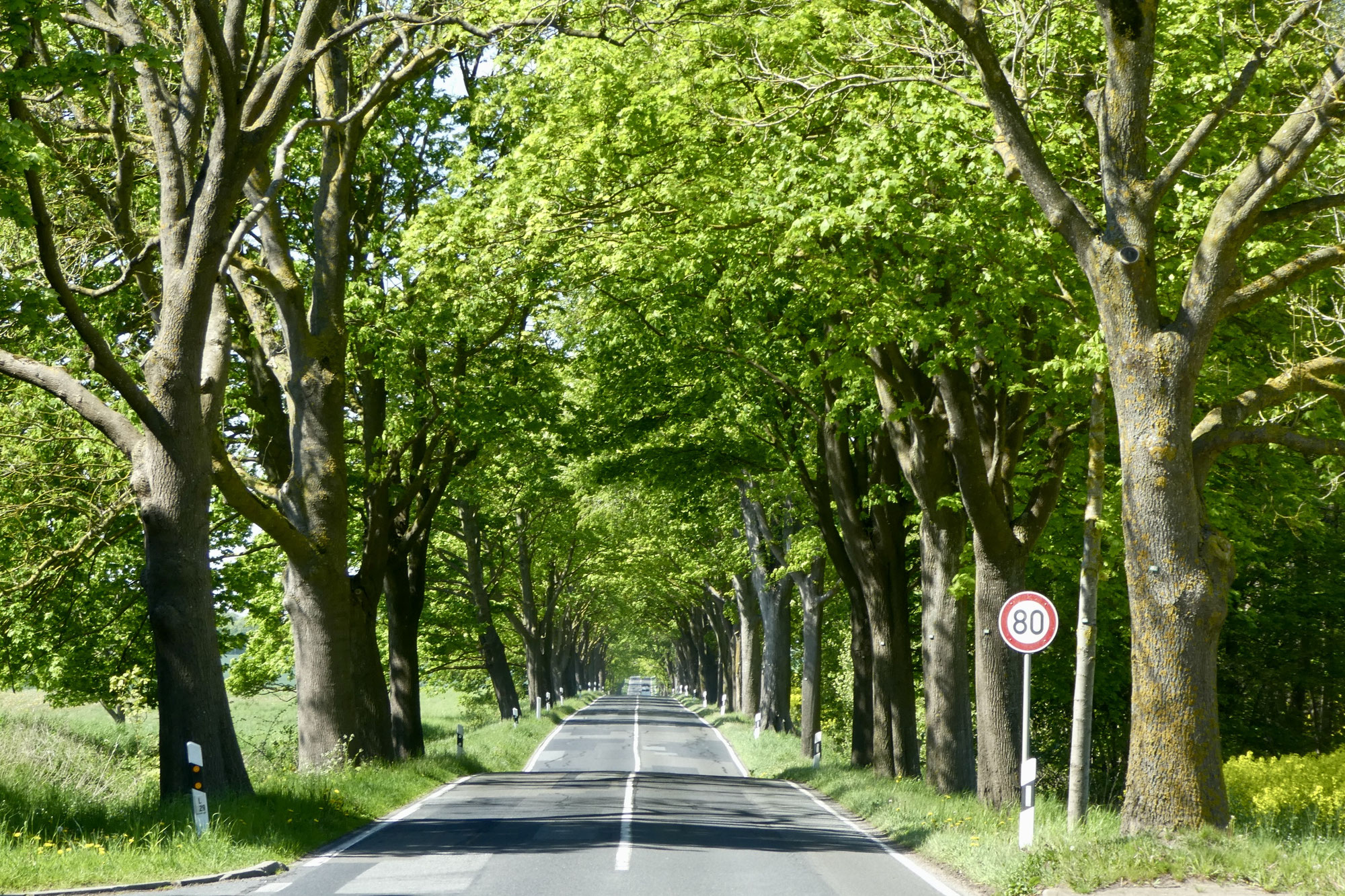 Hinreise und Bunkern