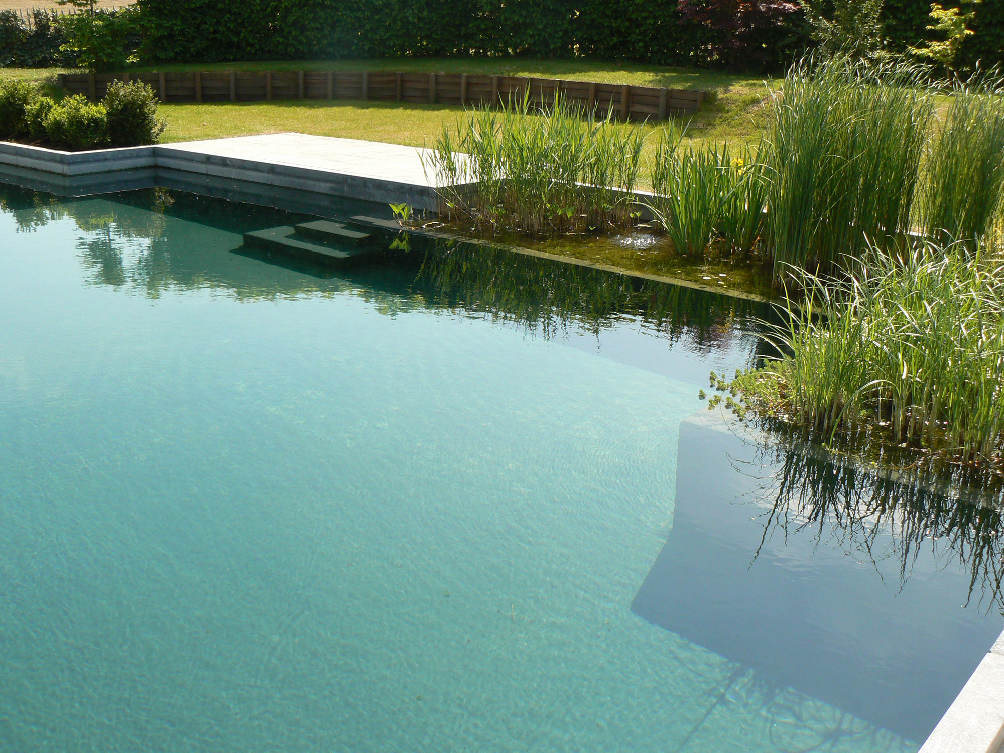 Piscine Naturelle Plan Deau Et Lagunage Water Garden