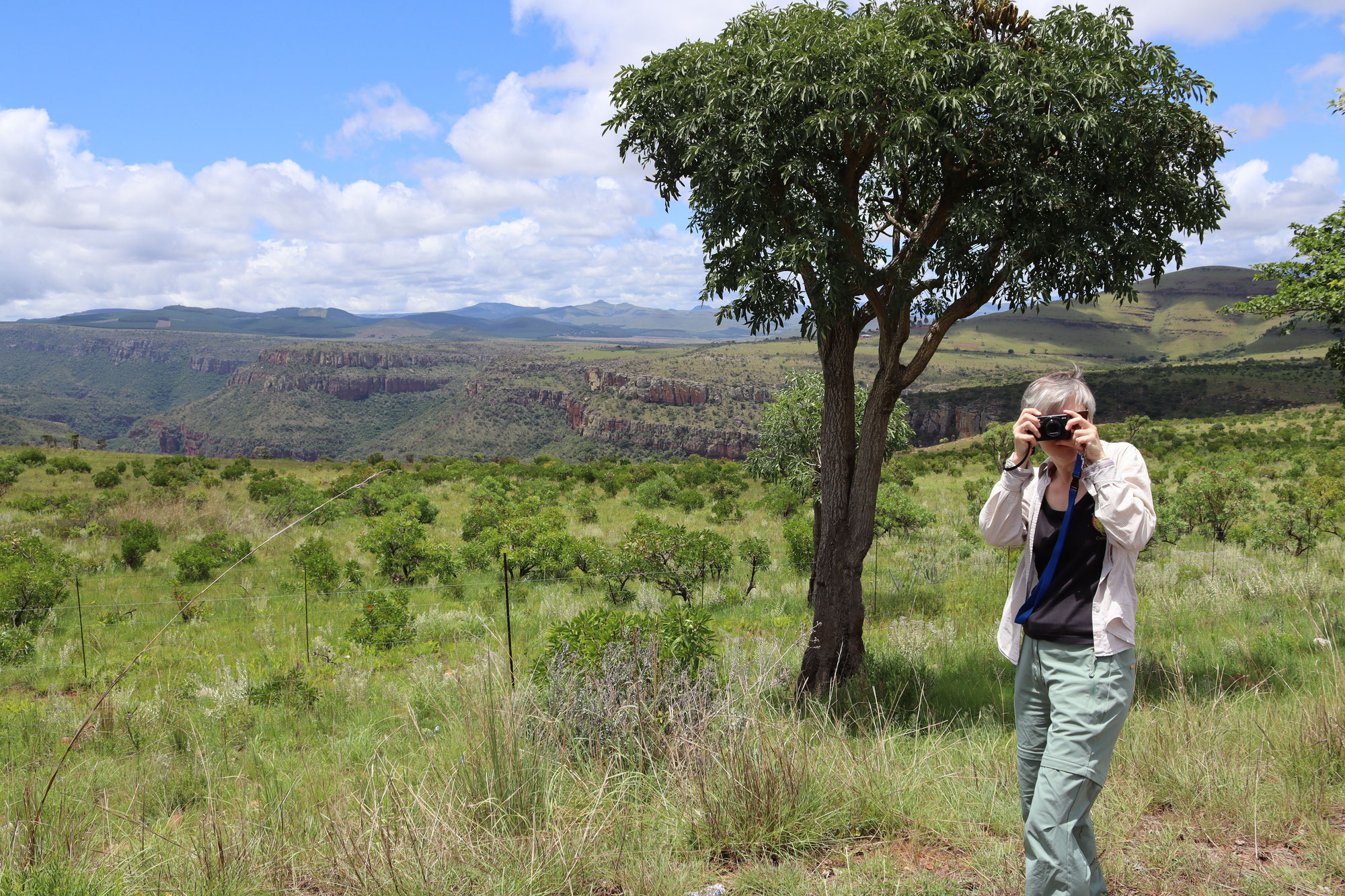 Rund um den Blyde River Canyon