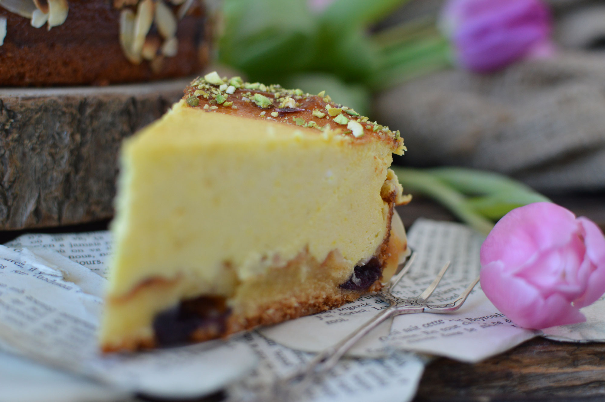 Kuchen Vesnas Suesses Welts Webseite