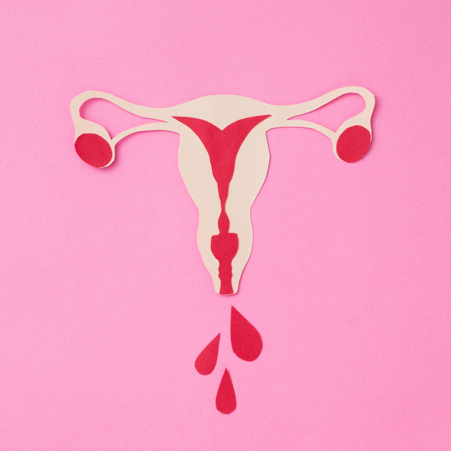 Menstruationsblut als Informationsquelle 