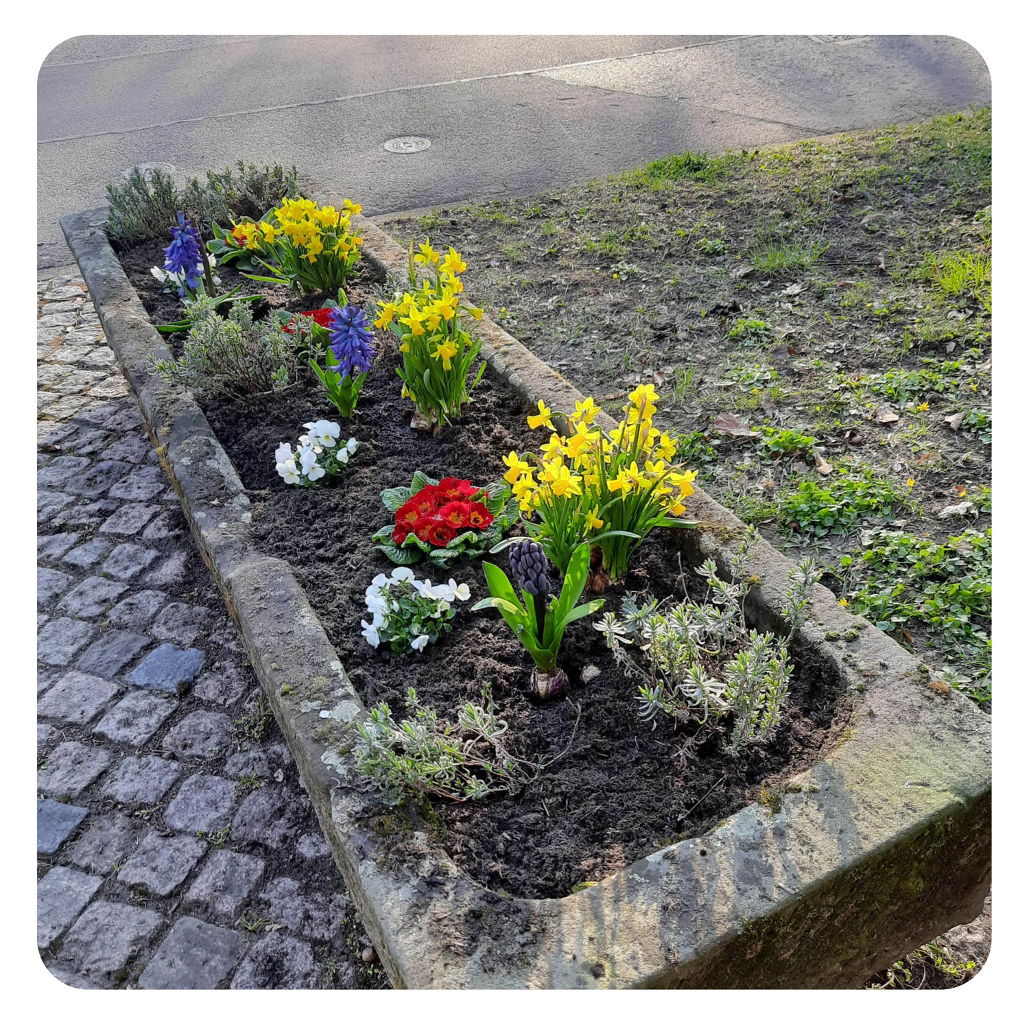 Frühlingserwachen in Lenthe