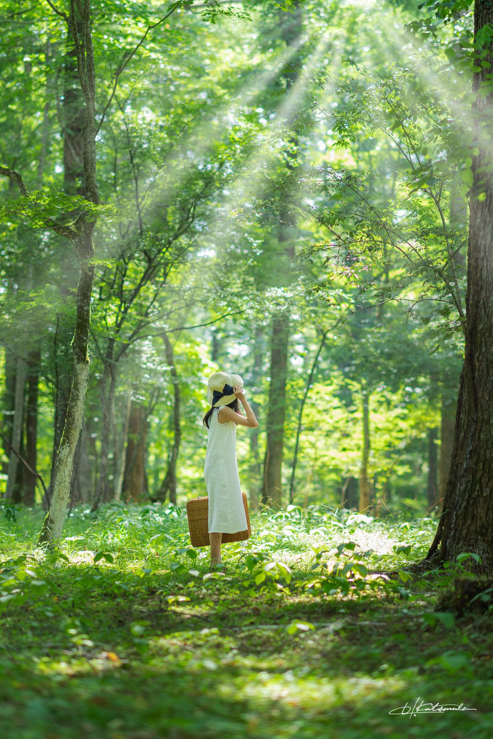 豊かな自然の中で思い出の家族写真を撮りませんか