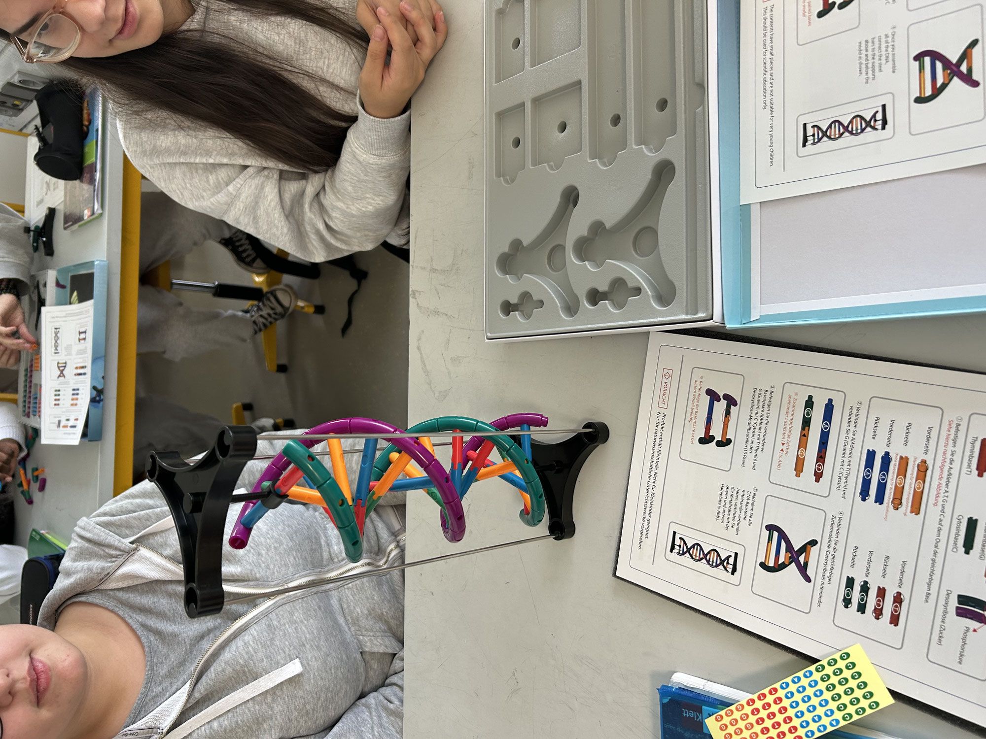 Biologieunterricht zum Anfassen: Der 9er-Kurs baut DNA-Modelle