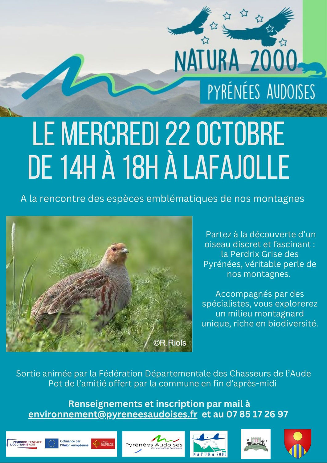 A la rencontre de la perdrix grise des Pyrénées