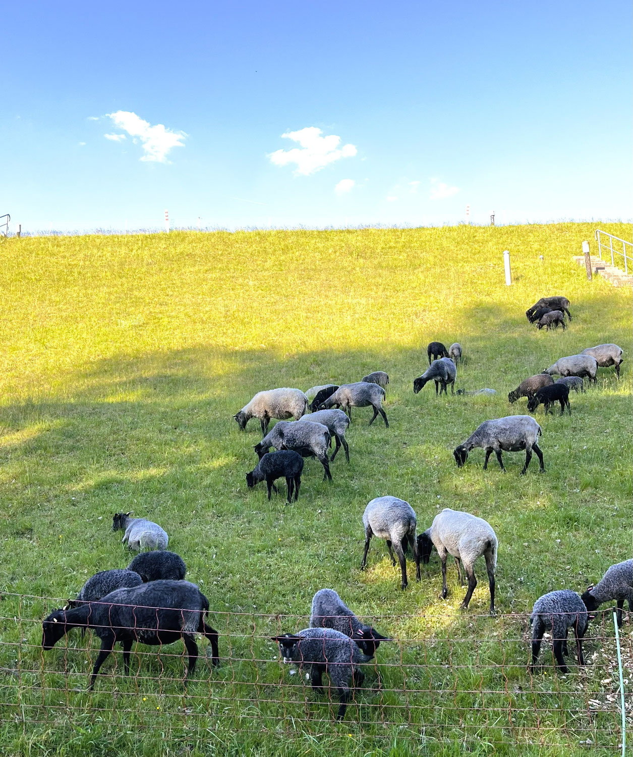 Aus Feld und Stall – Neuigkeiten vom Hofjahr 2025