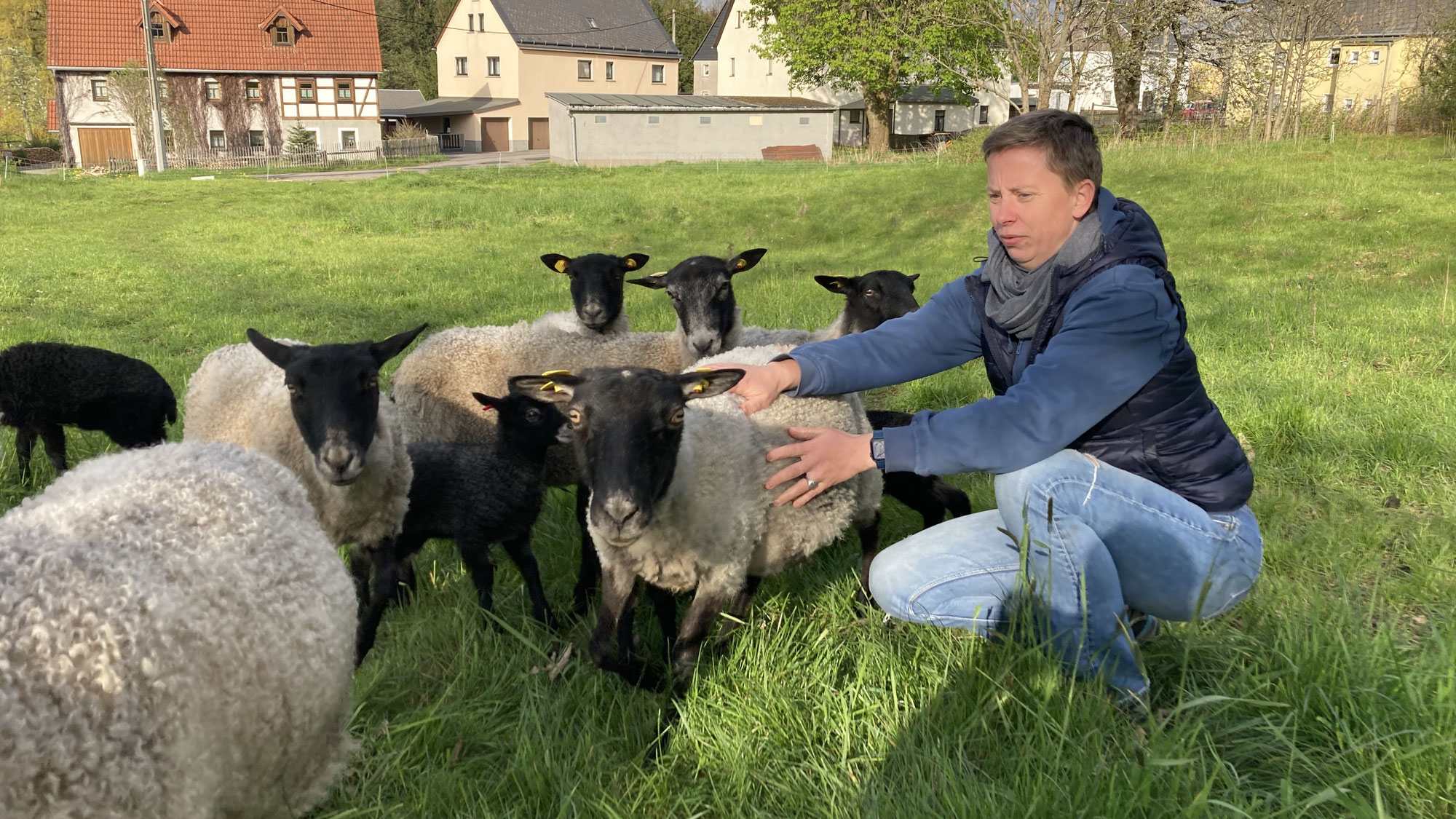 "Bekommen im Mai die Büsche Blätter, wirkt die Landschaft gleich viel netter."