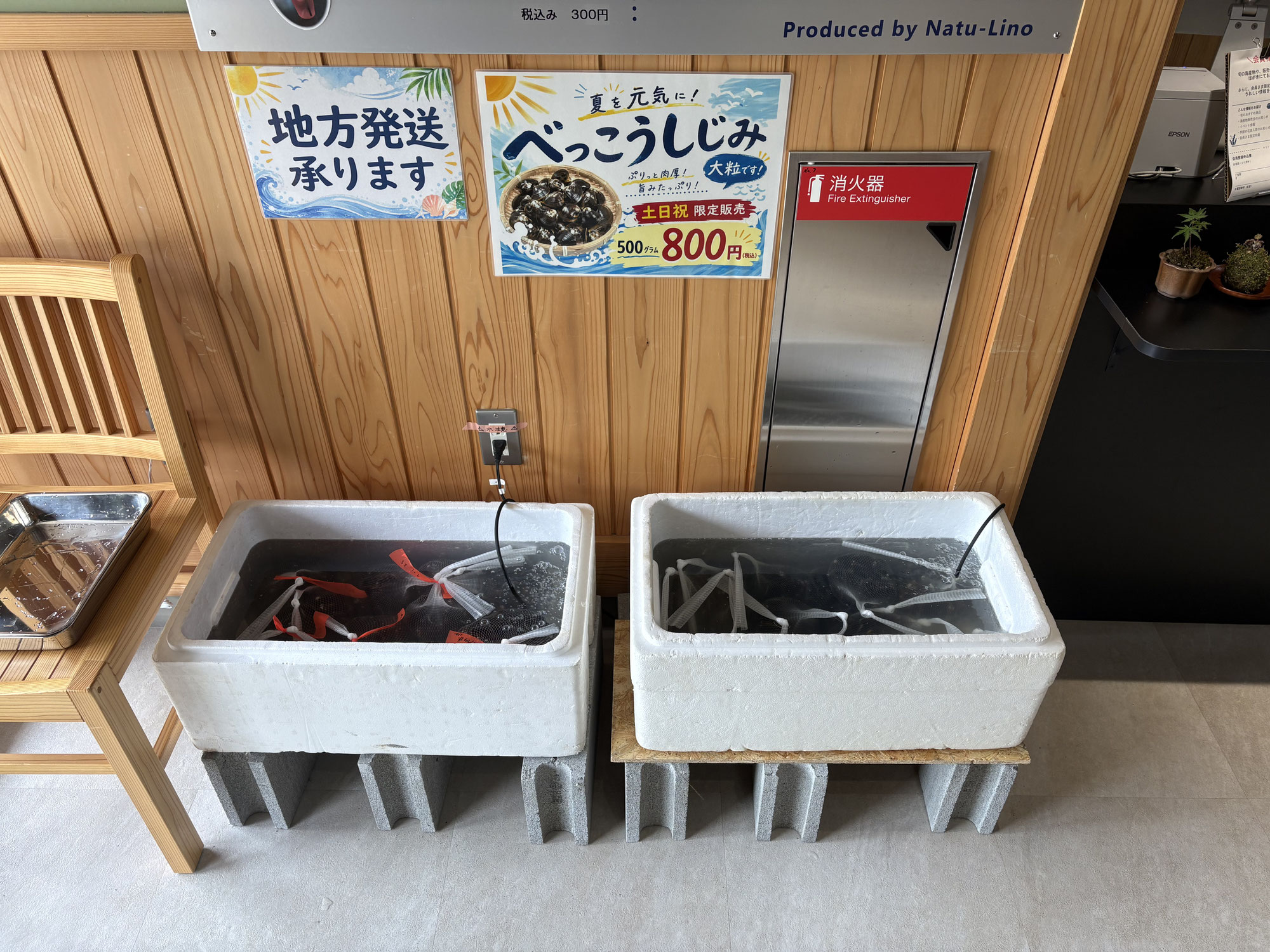 活べっこうしじみ販売会！！