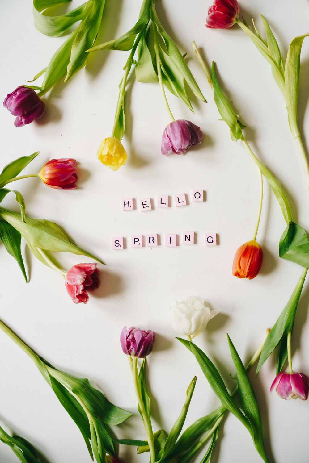 Playlist du printemps - 2026